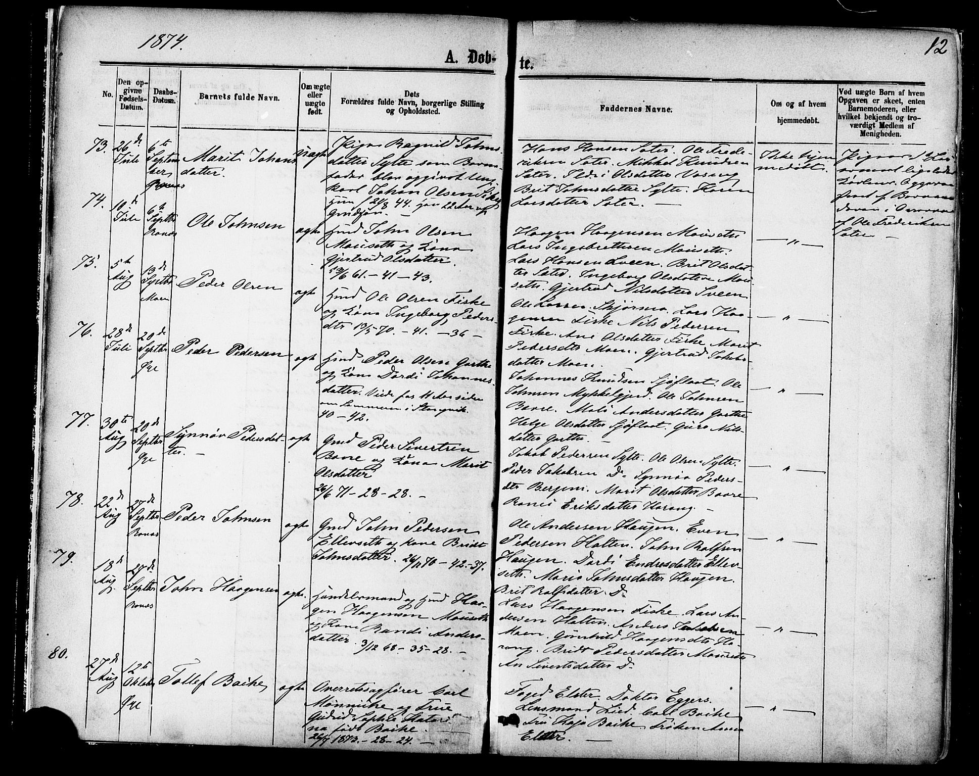 Ministerialprotokoller, klokkerbøker og fødselsregistre - Møre og Romsdal, AV/SAT-A-1454/595/L1046: Parish register (official) no. 595A08, 1874-1884, p. 12