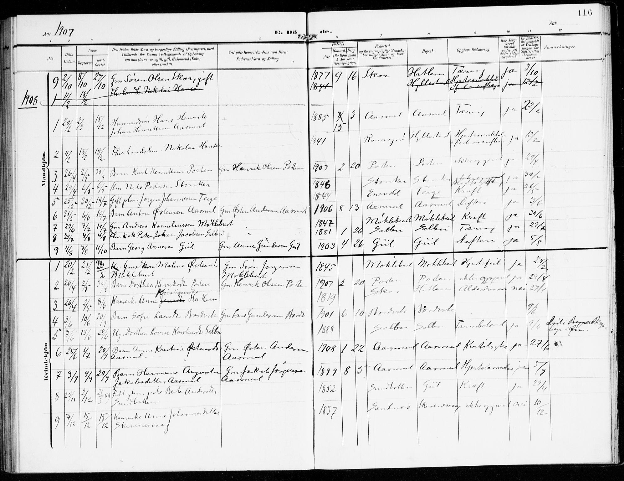 Hyllestad sokneprestembete, SAB/A-80401: Parish register (official) no. D 2, 1905-1919, p. 116