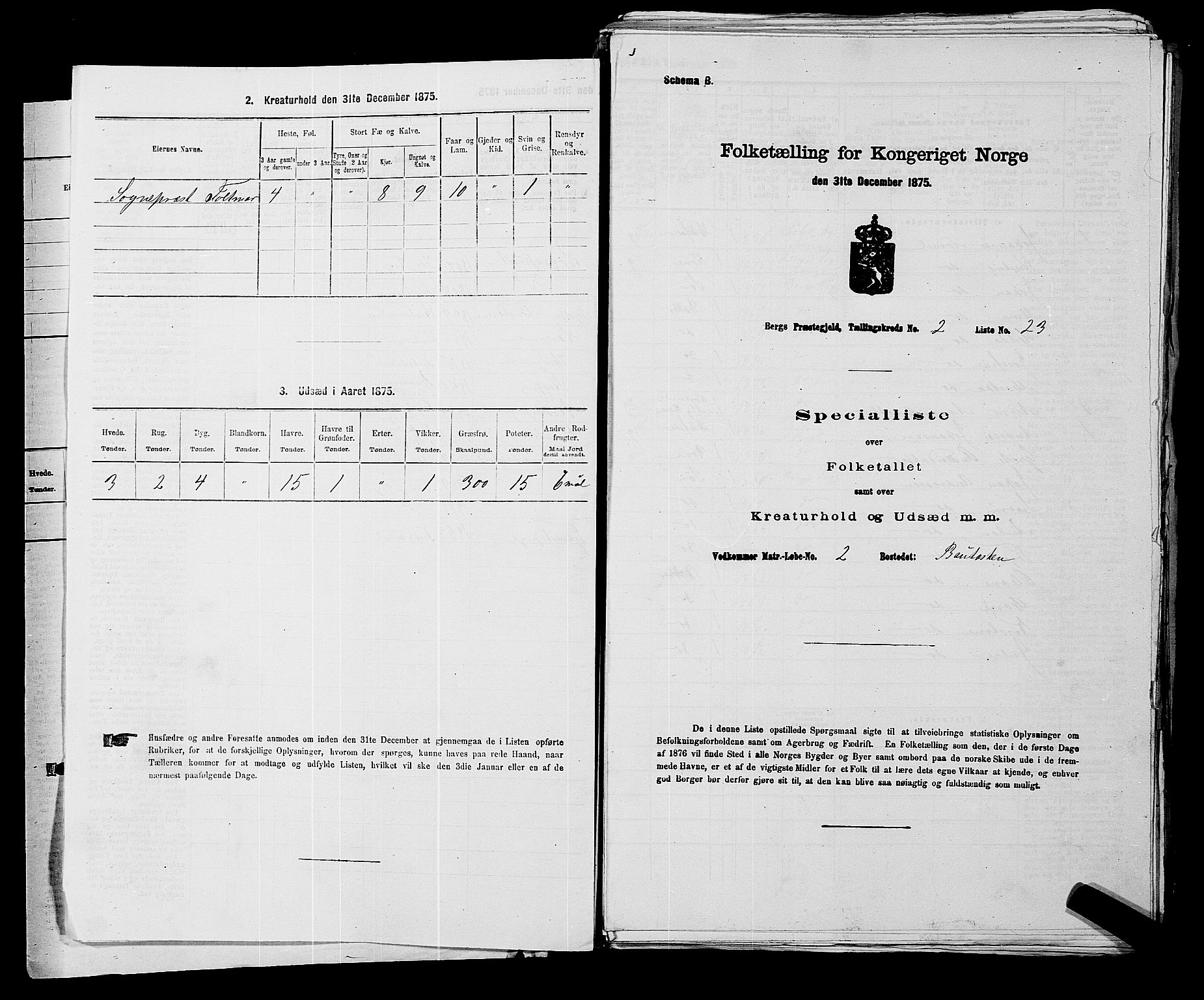 RA, 1875 census for 0116P Berg, 1875, p. 145