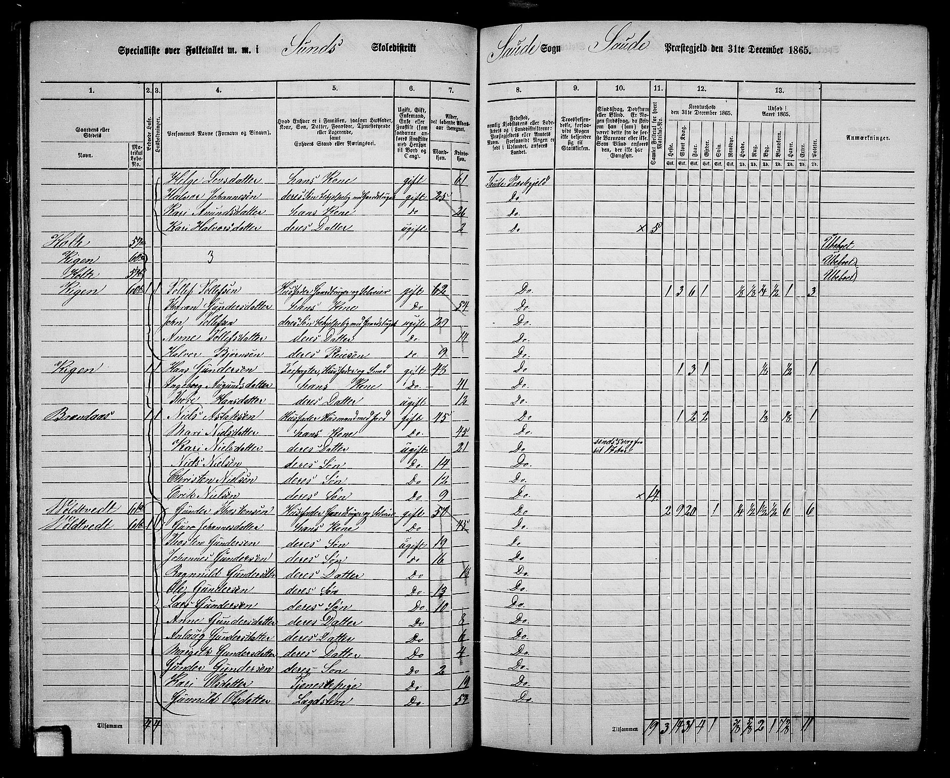 RA, 1865 census for Sauherad, 1865, p. 53