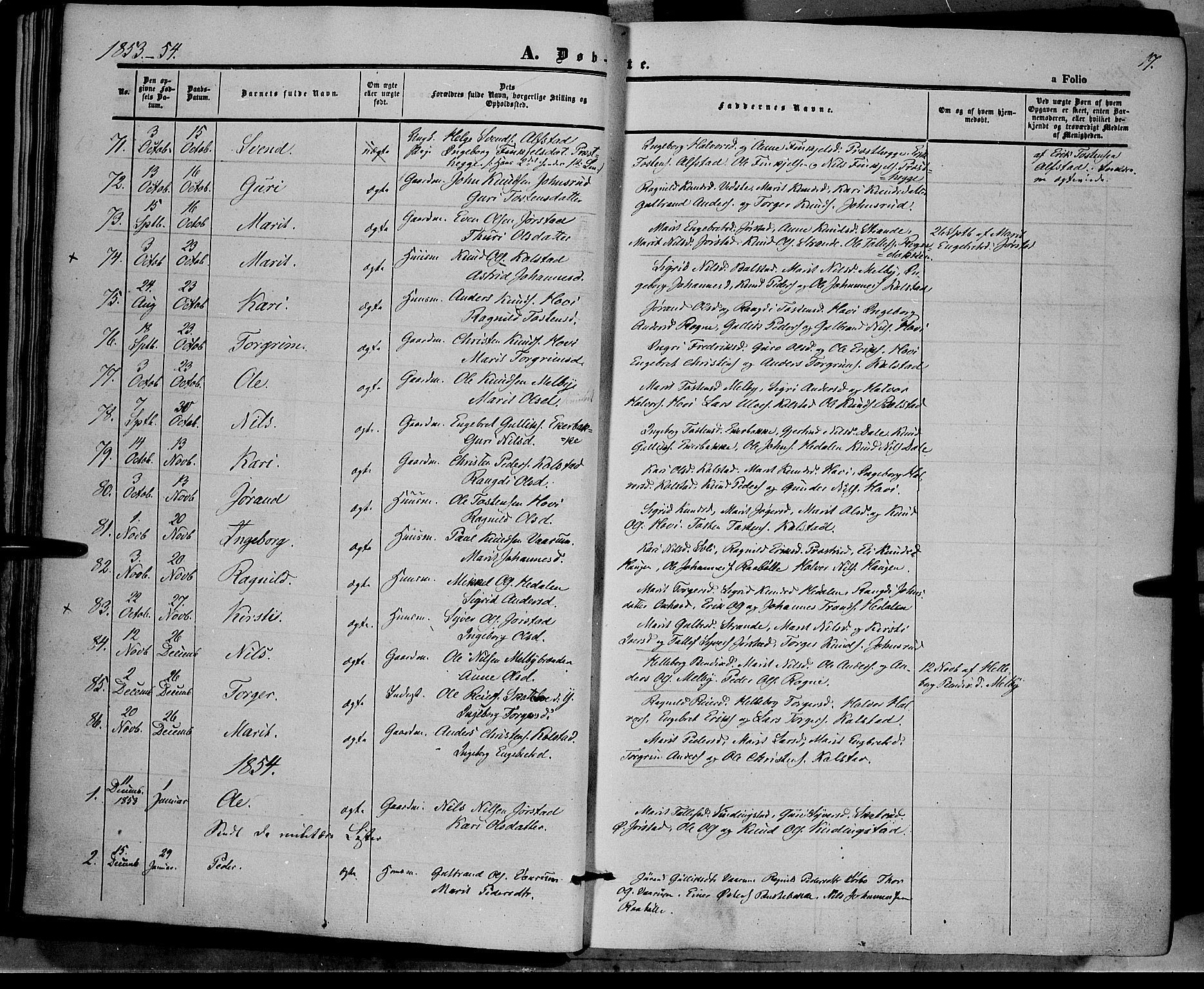 Øystre Slidre prestekontor, SAH/PREST-138/H/Ha/Haa/L0001: Parish register (official) no. 1, 1849-1874, p. 17