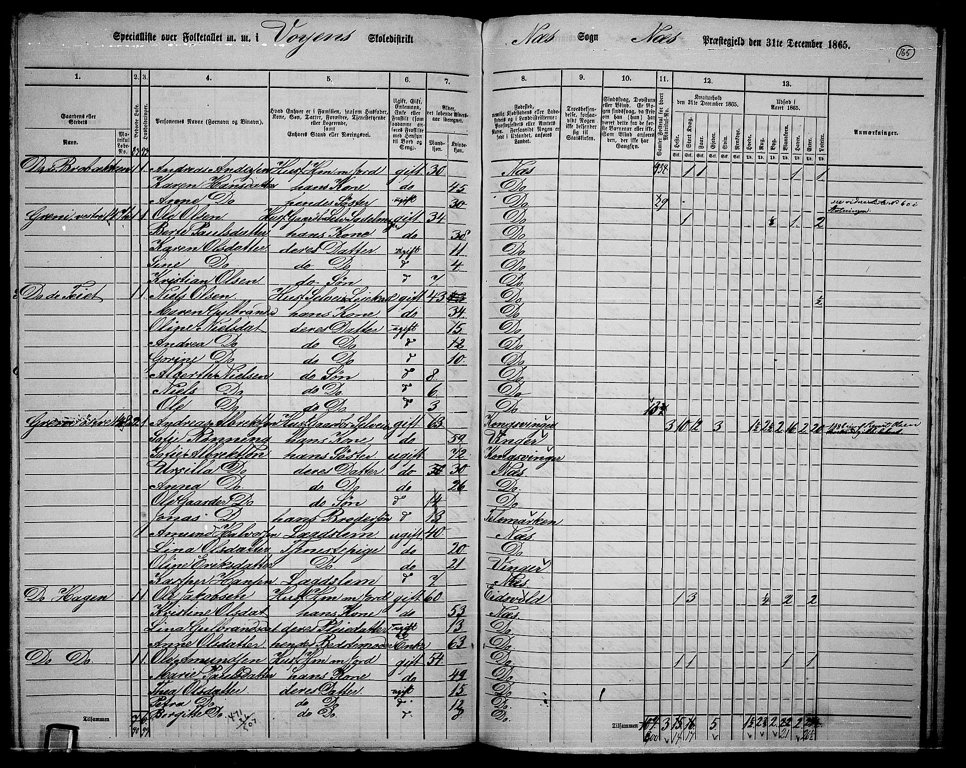 RA, 1865 census for Nes, 1865, p. 151