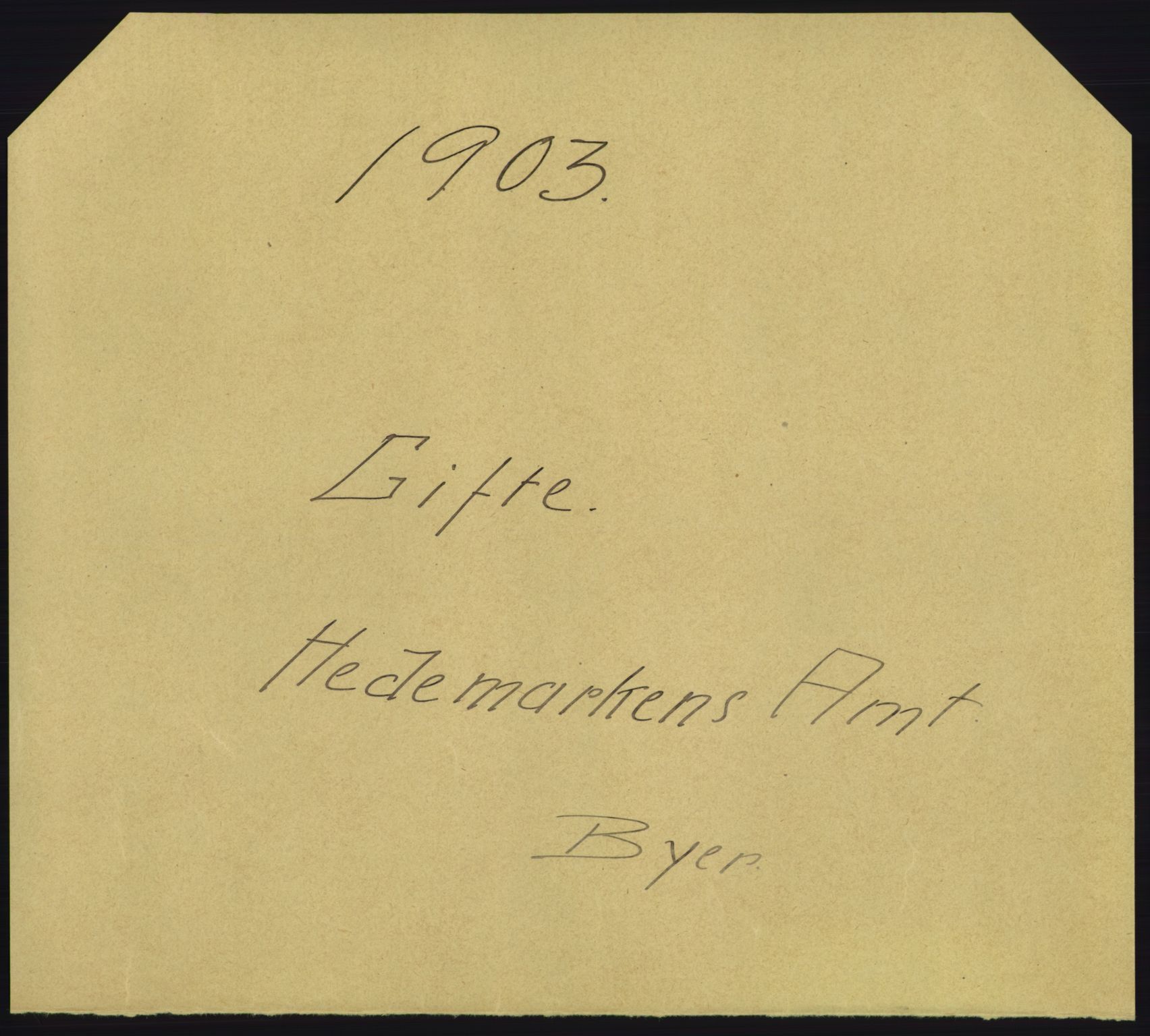 Statistisk sentralbyrå, Sosiodemografiske emner, Befolkning, AV/RA-S-2228/D/Df/Dfa/Dfaa/L0005: Hedemarkens amt: Fødte, gifte, døde, 1903, p. 731