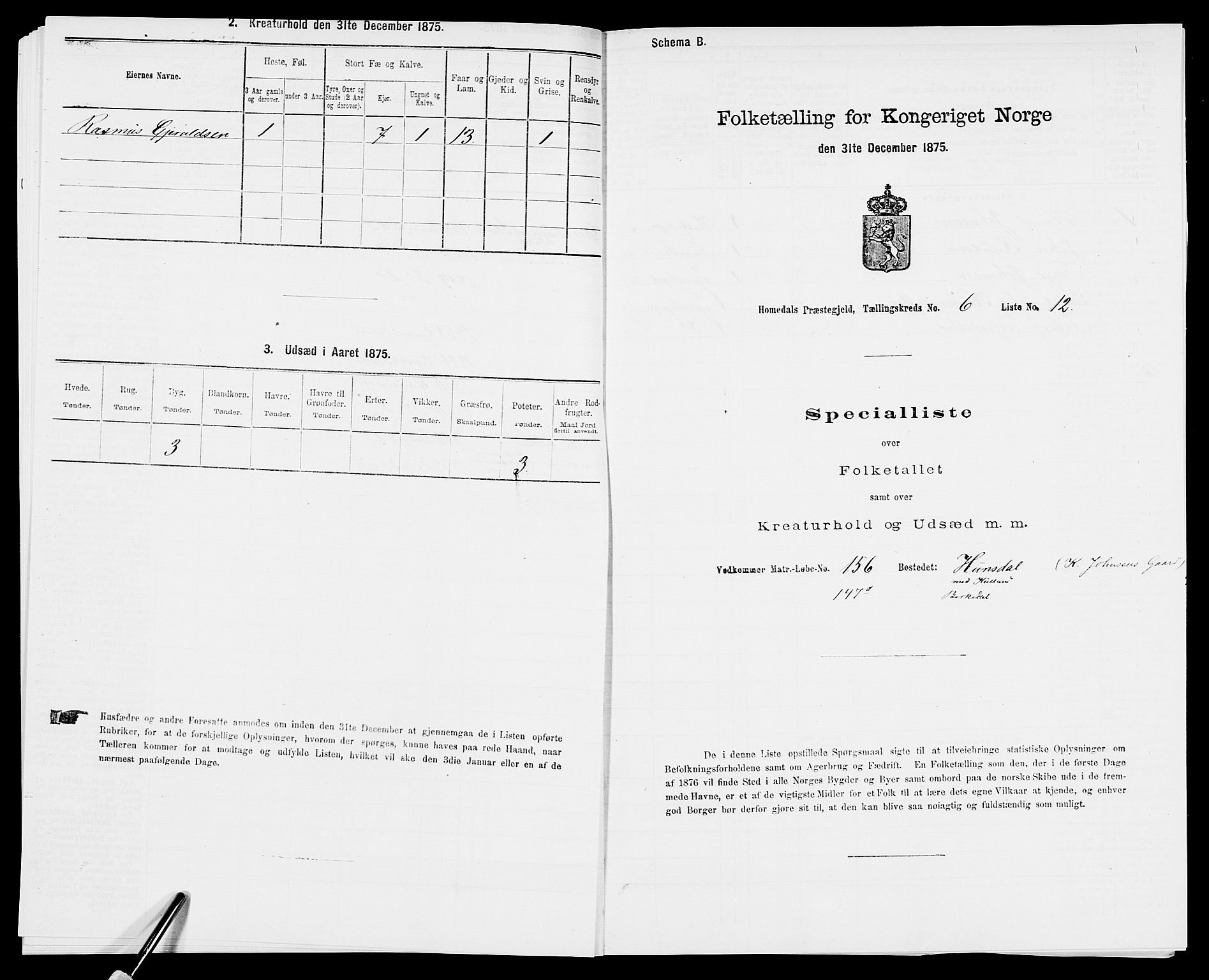 SAK, 1875 census for 0924P Homedal, 1875, p. 1060