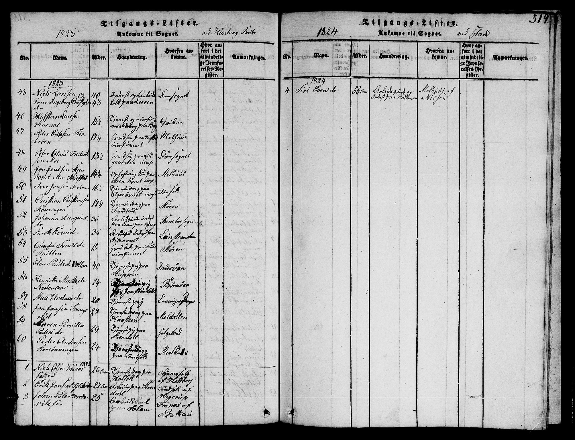 Ministerialprotokoller, klokkerbøker og fødselsregistre - Sør-Trøndelag, AV/SAT-A-1456/606/L0307: Parish register (copy) no. 606C03, 1817-1824, p. 319