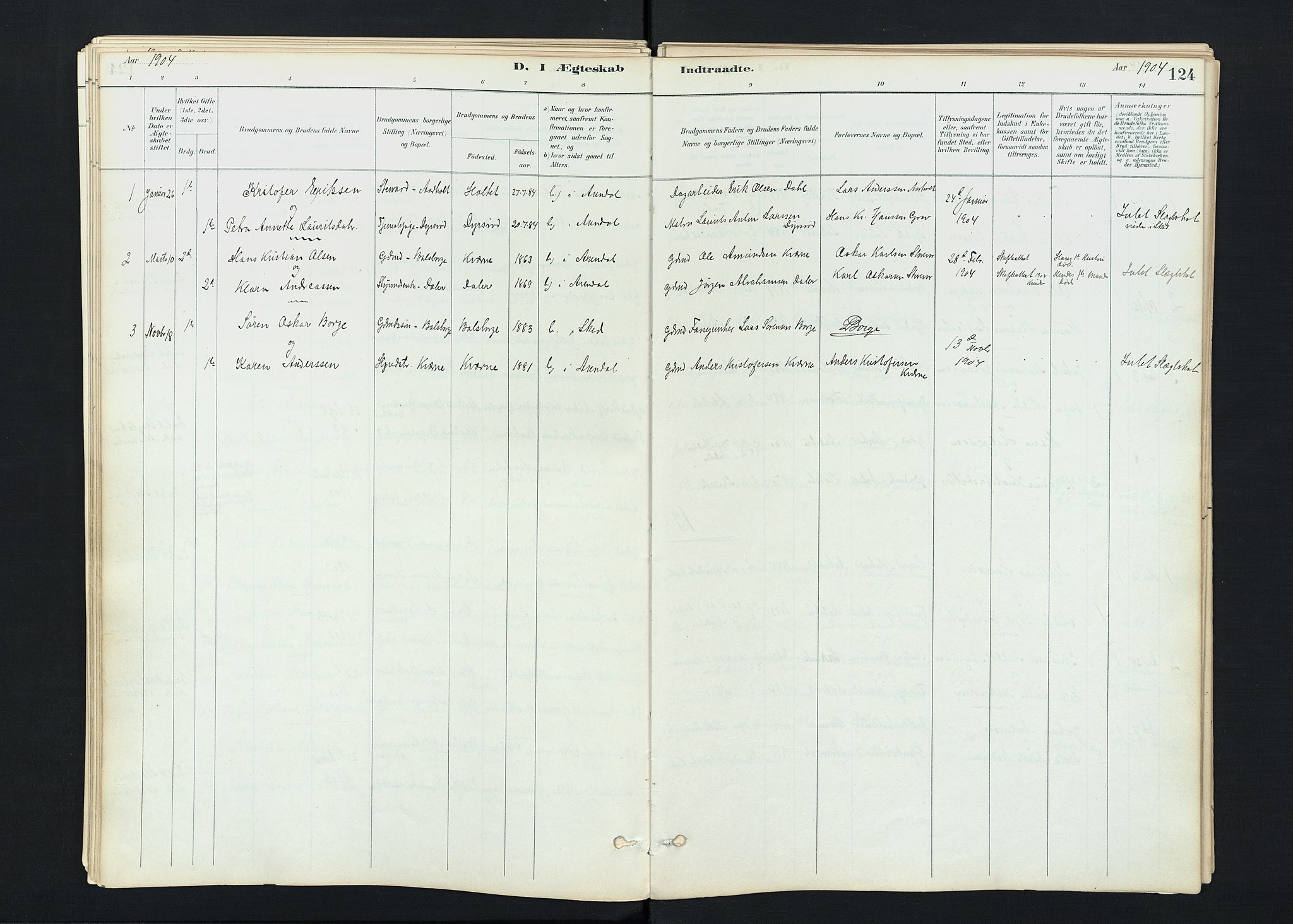 Stokke kirkebøker, AV/SAKO-A-320/F/Fc/L0001: Parish register (official) no. III 1, 1884-1910, p. 124