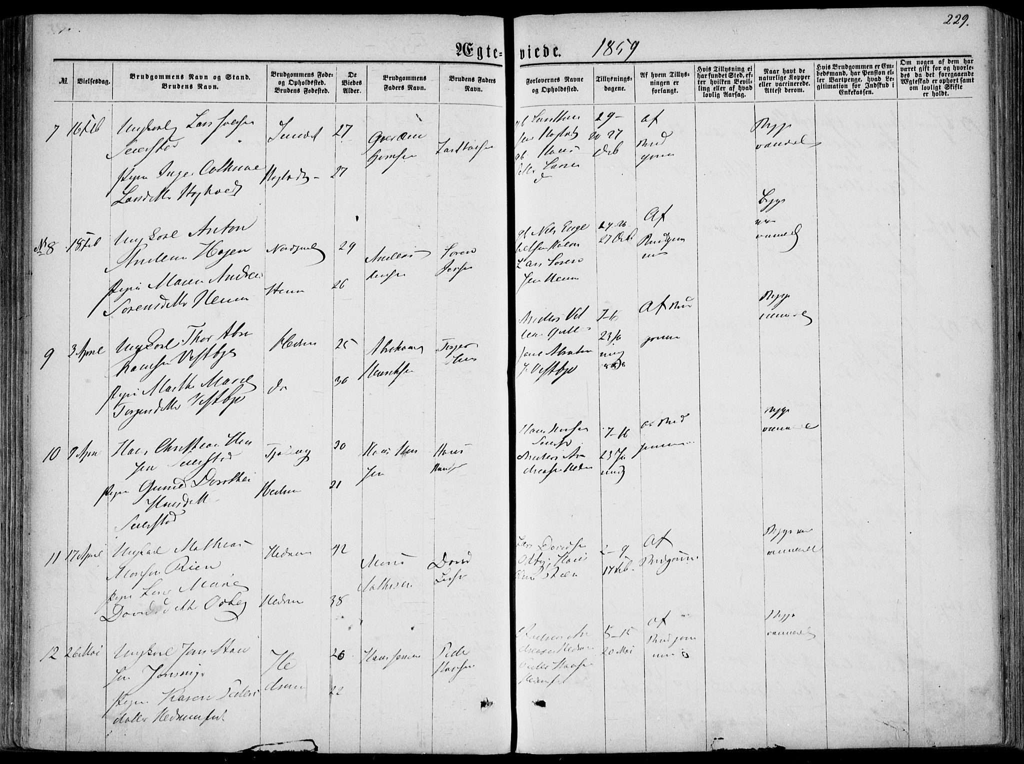 Hedrum kirkebøker, AV/SAKO-A-344/F/Fa/L0007: Parish register (official) no. I 7, 1857-1868, p. 229