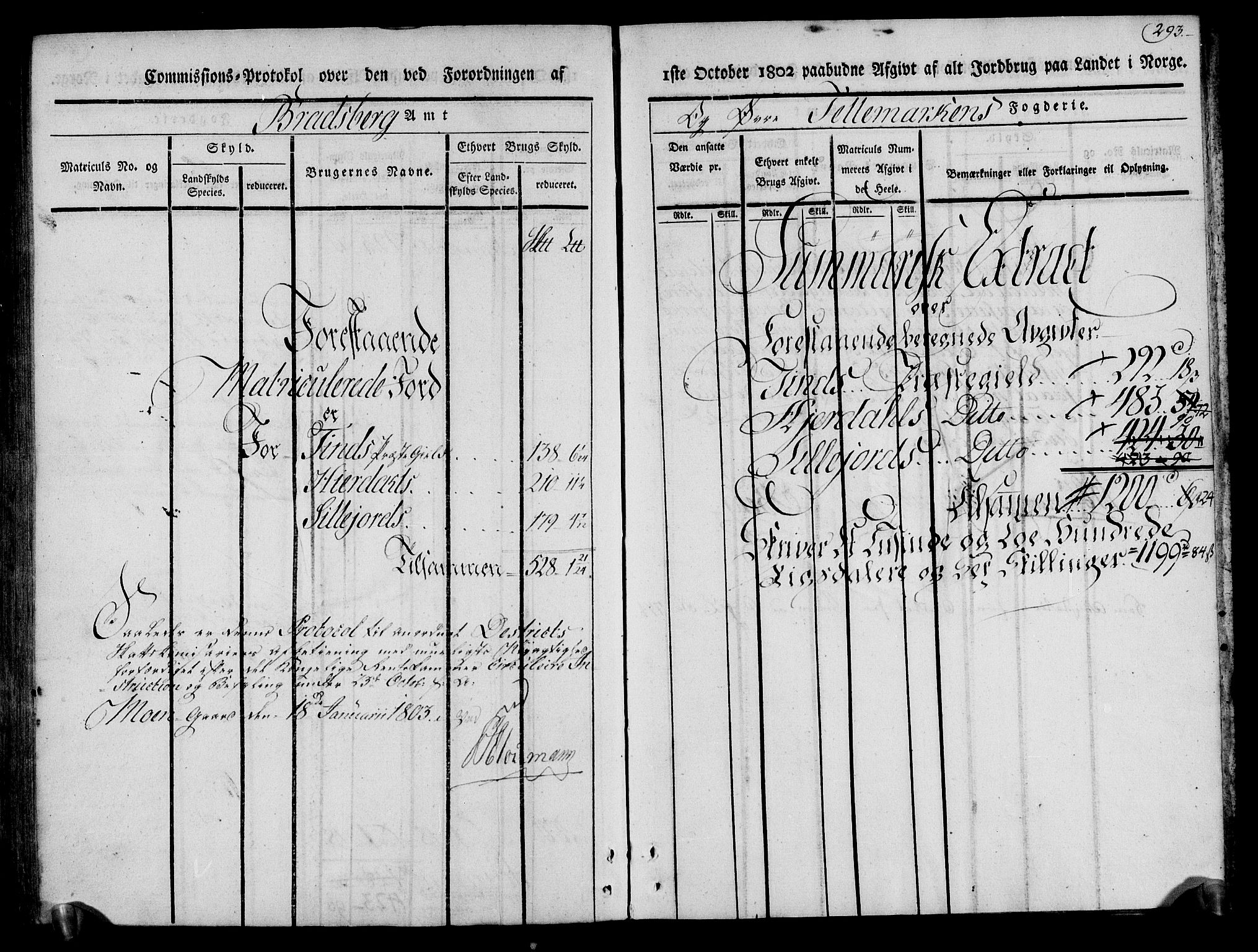 Rentekammeret inntil 1814, Realistisk ordnet avdeling, AV/RA-EA-4070/N/Ne/Nea/L0074: Øvre Telemarken fogderi. Kommisjonsprotokoll for fogderiets østre del - Tinn, Hjartdal og Seljord prestegjeld., 1803, p. 294