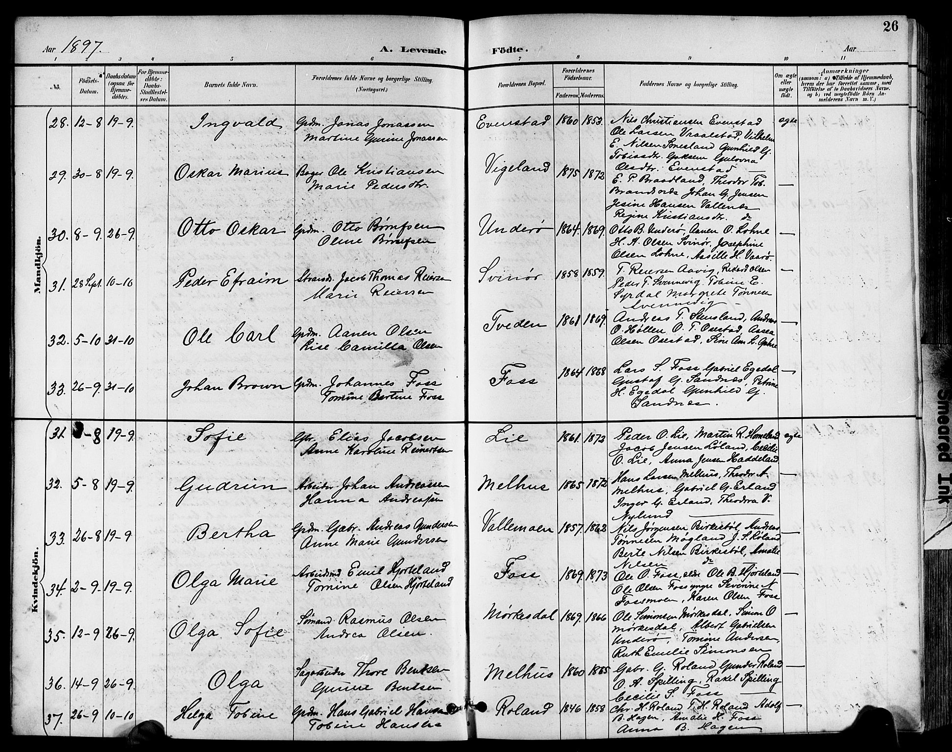 Sør-Audnedal sokneprestkontor, AV/SAK-1111-0039/F/Fb/Fbb/L0006: Parish register (copy) no. B 6, 1893-1915, p. 26