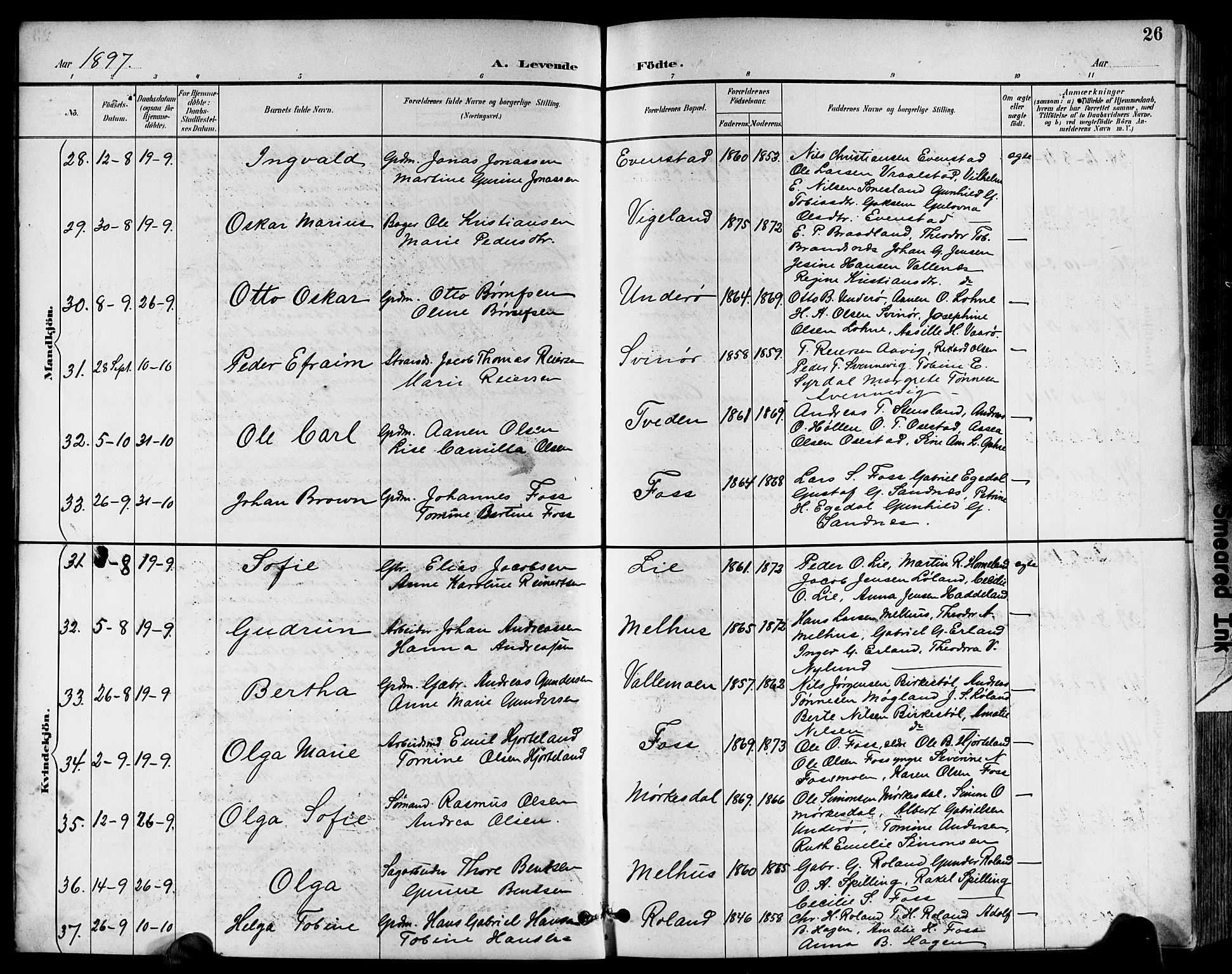 Sør-Audnedal sokneprestkontor, SAK/1111-0039/F/Fb/Fbb/L0006: Parish register (copy) no. B 6, 1893-1915, p. 26