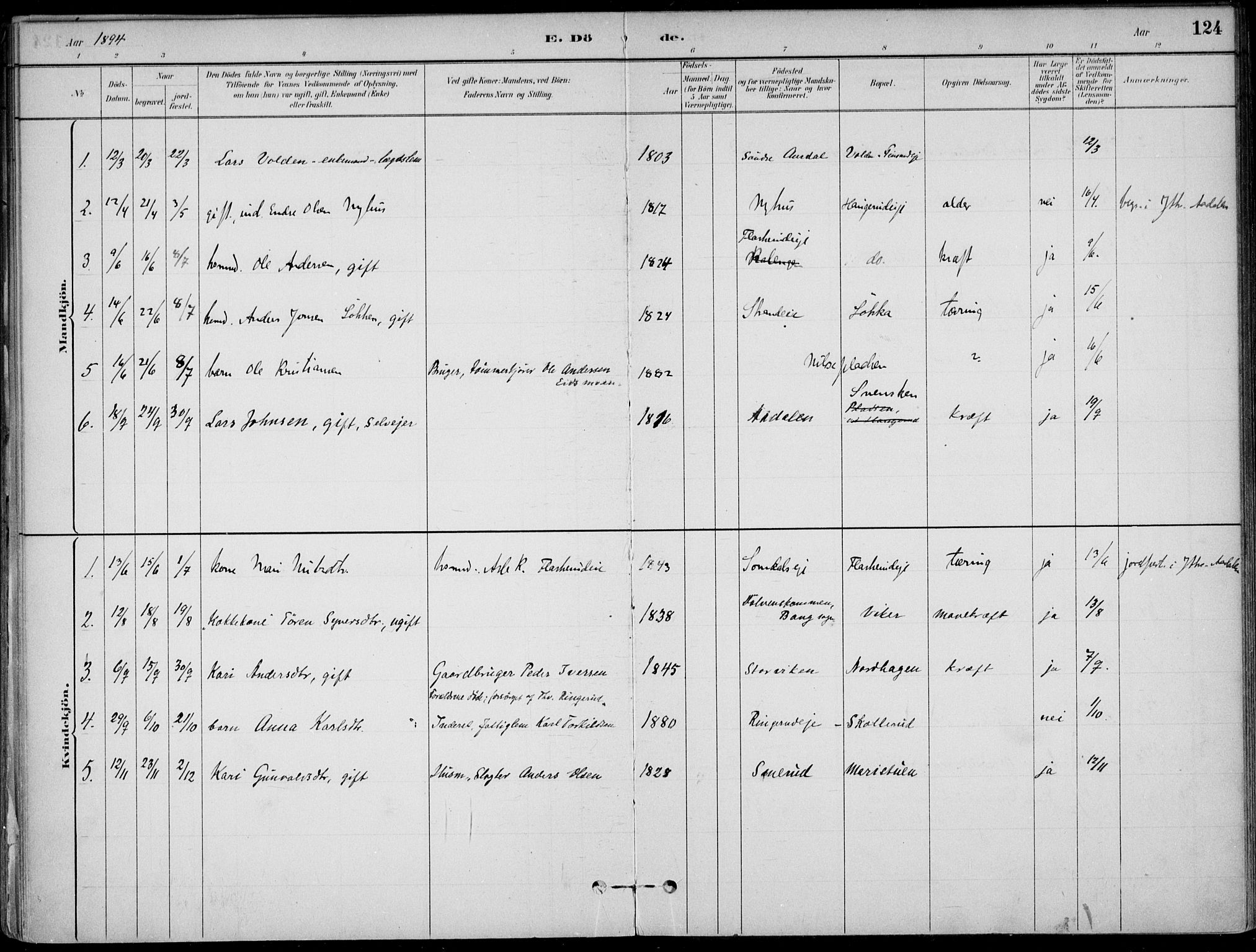 Ådal kirkebøker, AV/SAKO-A-248/F/Fa/L0003: Parish register (official) no. I 3, 1884-1903, p. 124