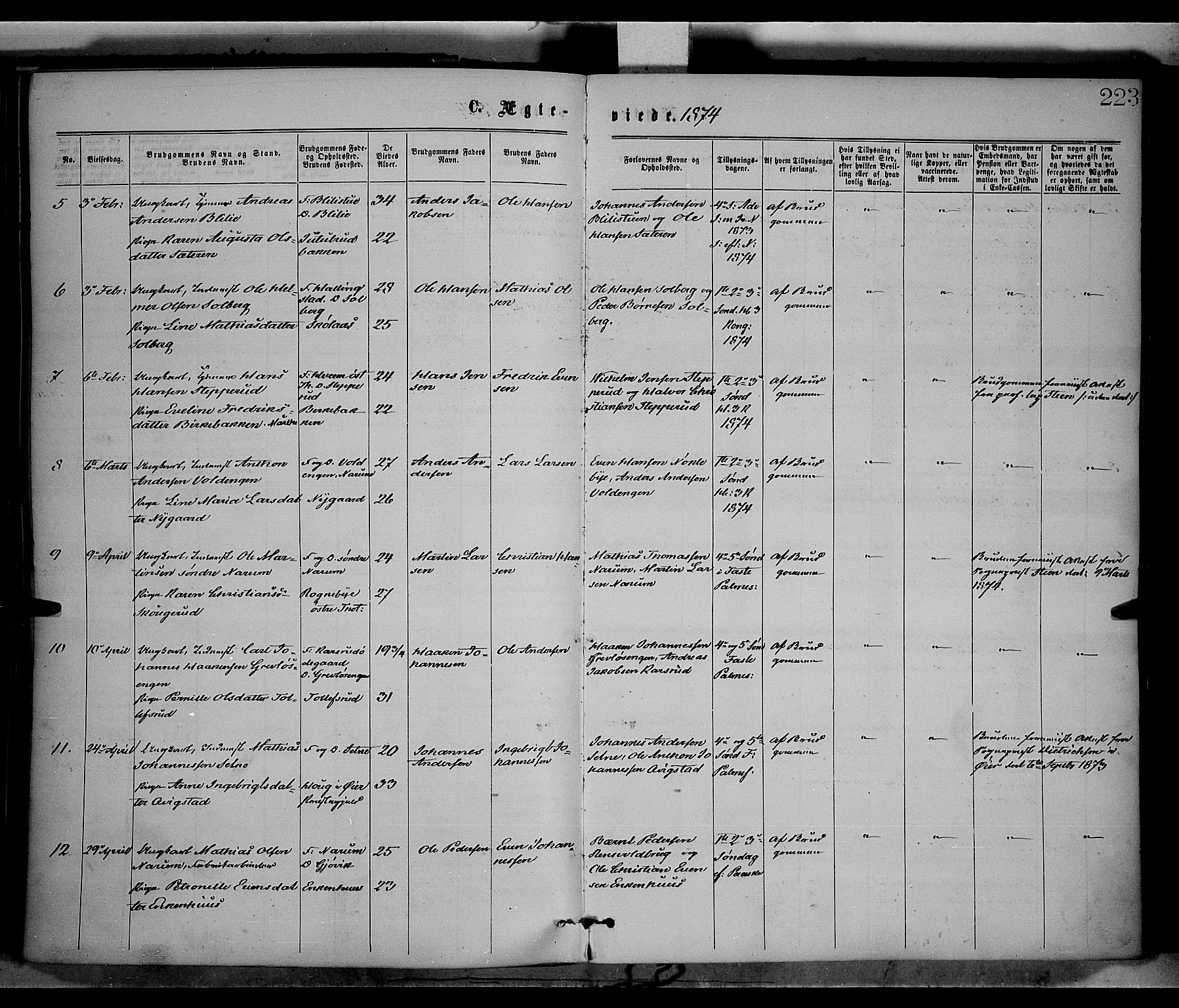 Vestre Toten prestekontor, SAH/PREST-108/H/Ha/Haa/L0008: Parish register (official) no. 8, 1870-1877, p. 223