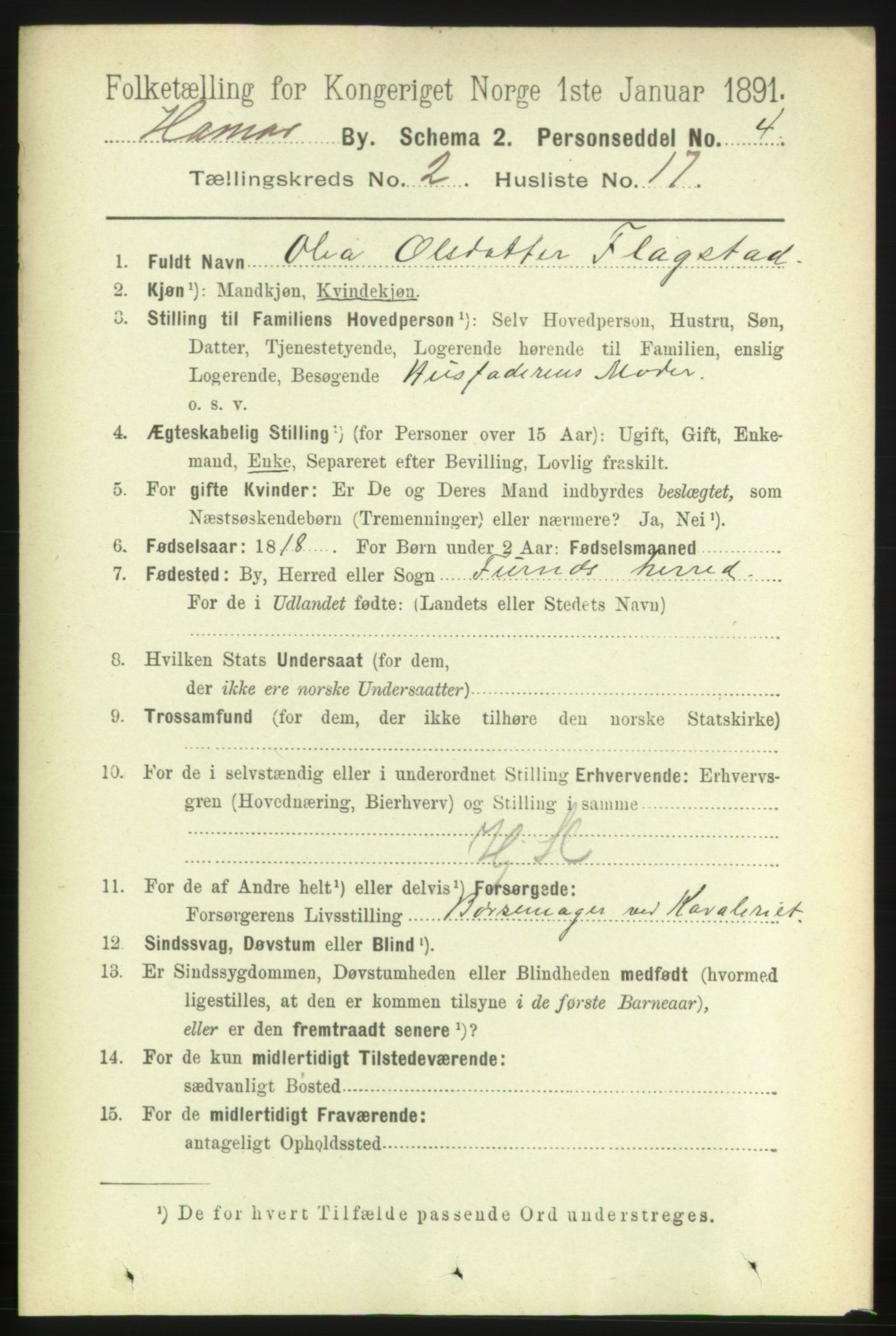 RA, 1891 census for 0401 Hamar, 1891, p. 1223