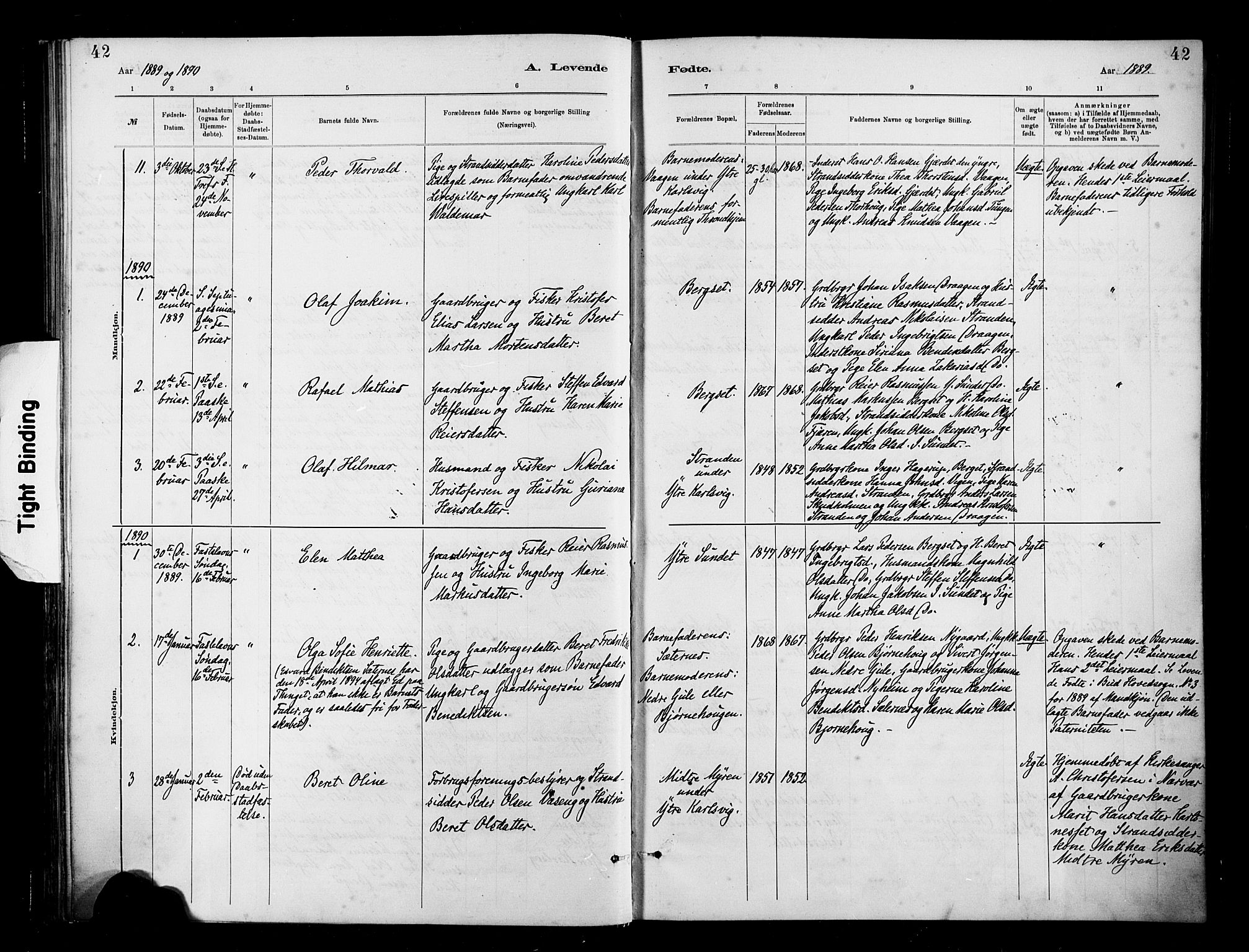 Ministerialprotokoller, klokkerbøker og fødselsregistre - Møre og Romsdal, SAT/A-1454/566/L0769: Parish register (official) no. 566A08, 1881-1903, p. 42