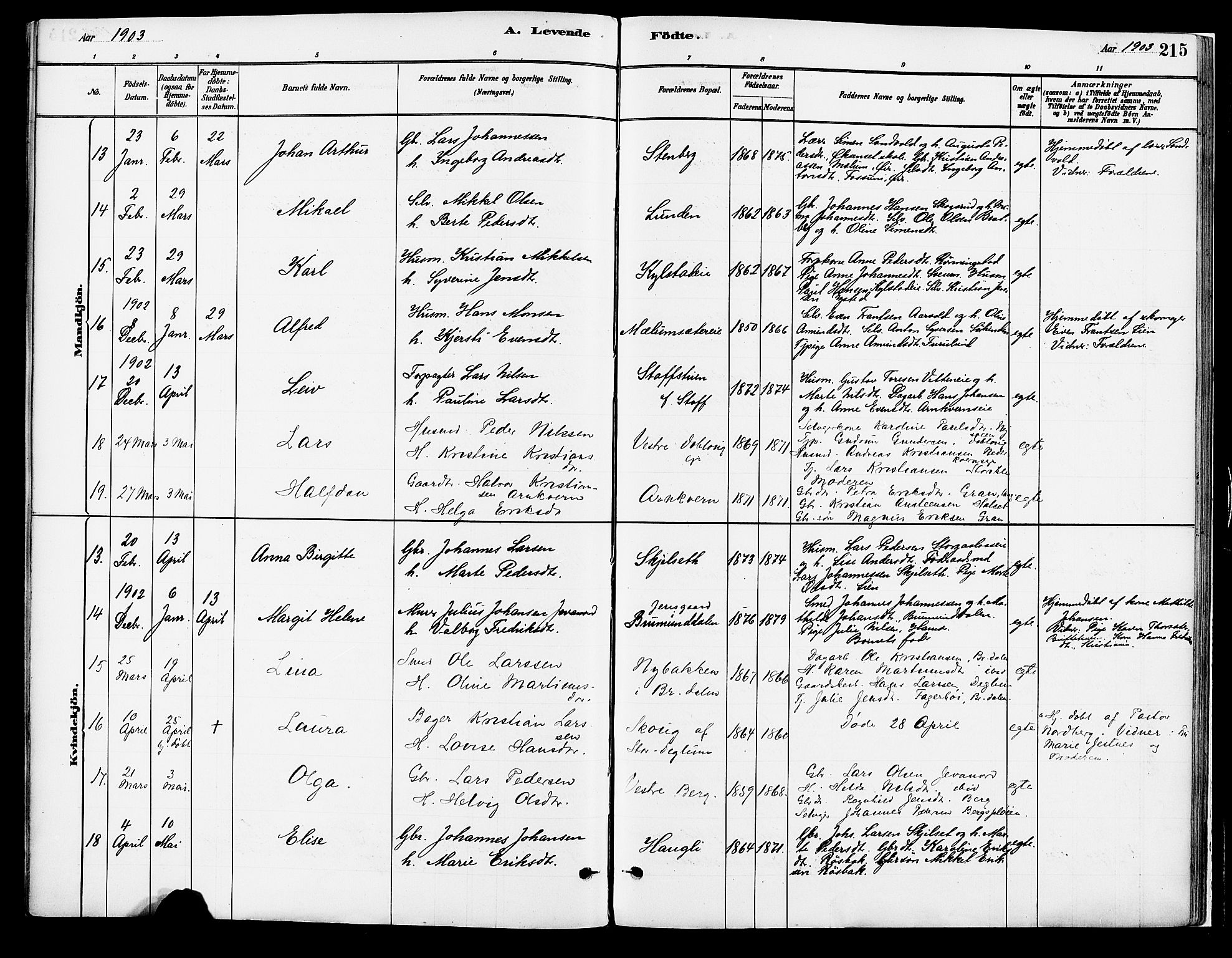 Vang prestekontor, Hedmark, SAH/PREST-008/H/Ha/Haa/L0018A: Parish register (official) no. 18A, 1880-1906, p. 215