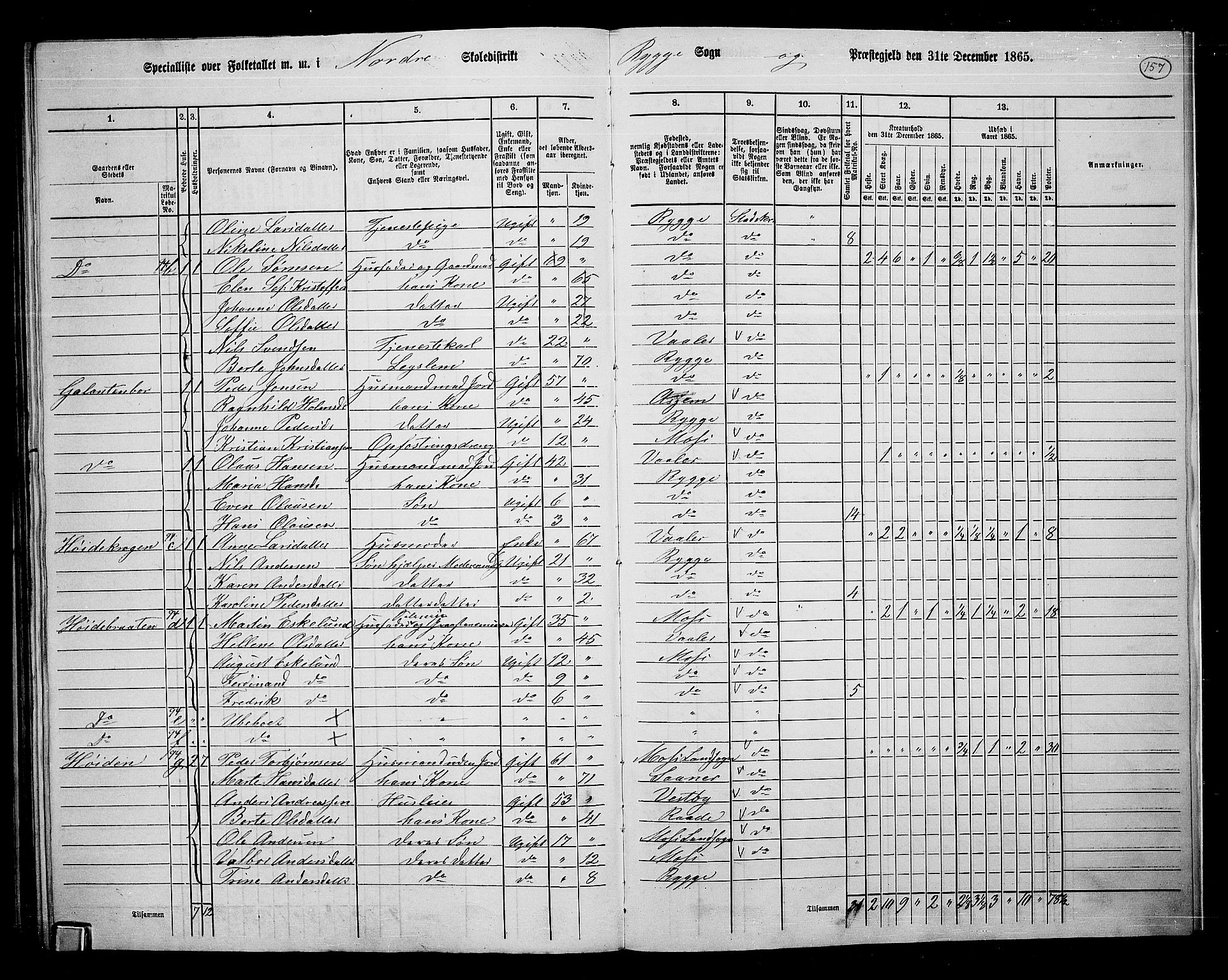 RA, 1865 census for Rygge, 1865, p. 98