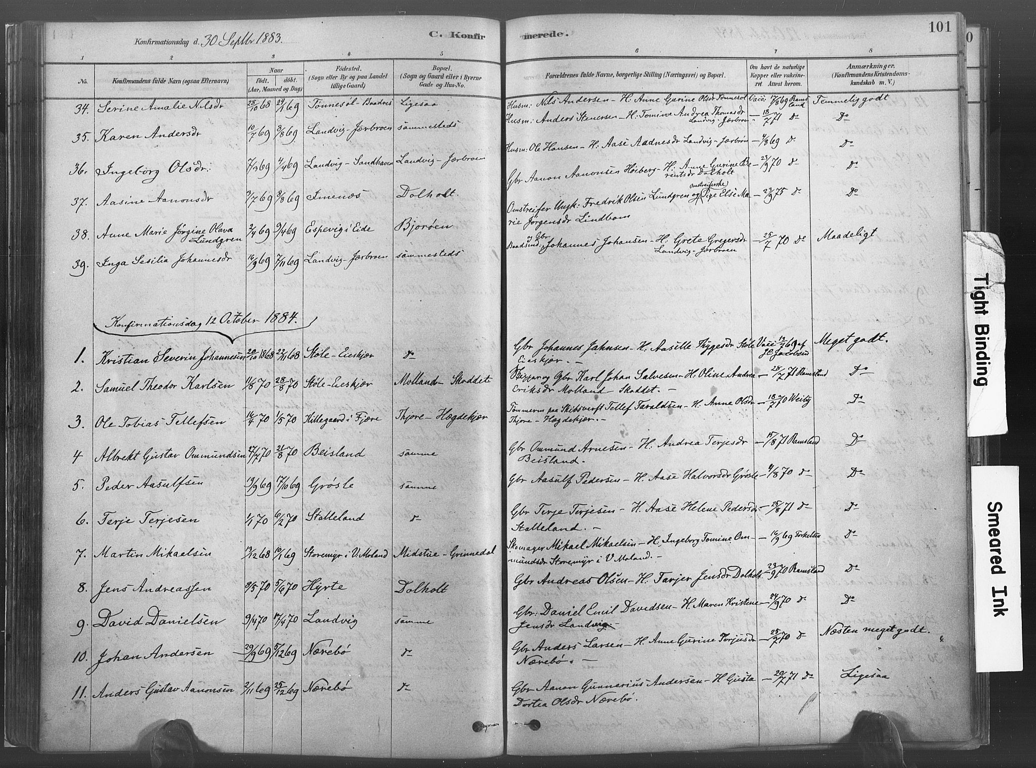 Hommedal sokneprestkontor, SAK/1111-0023/F/Fa/Fab/L0006: Parish register (official) no. A 6, 1878-1897, p. 101
