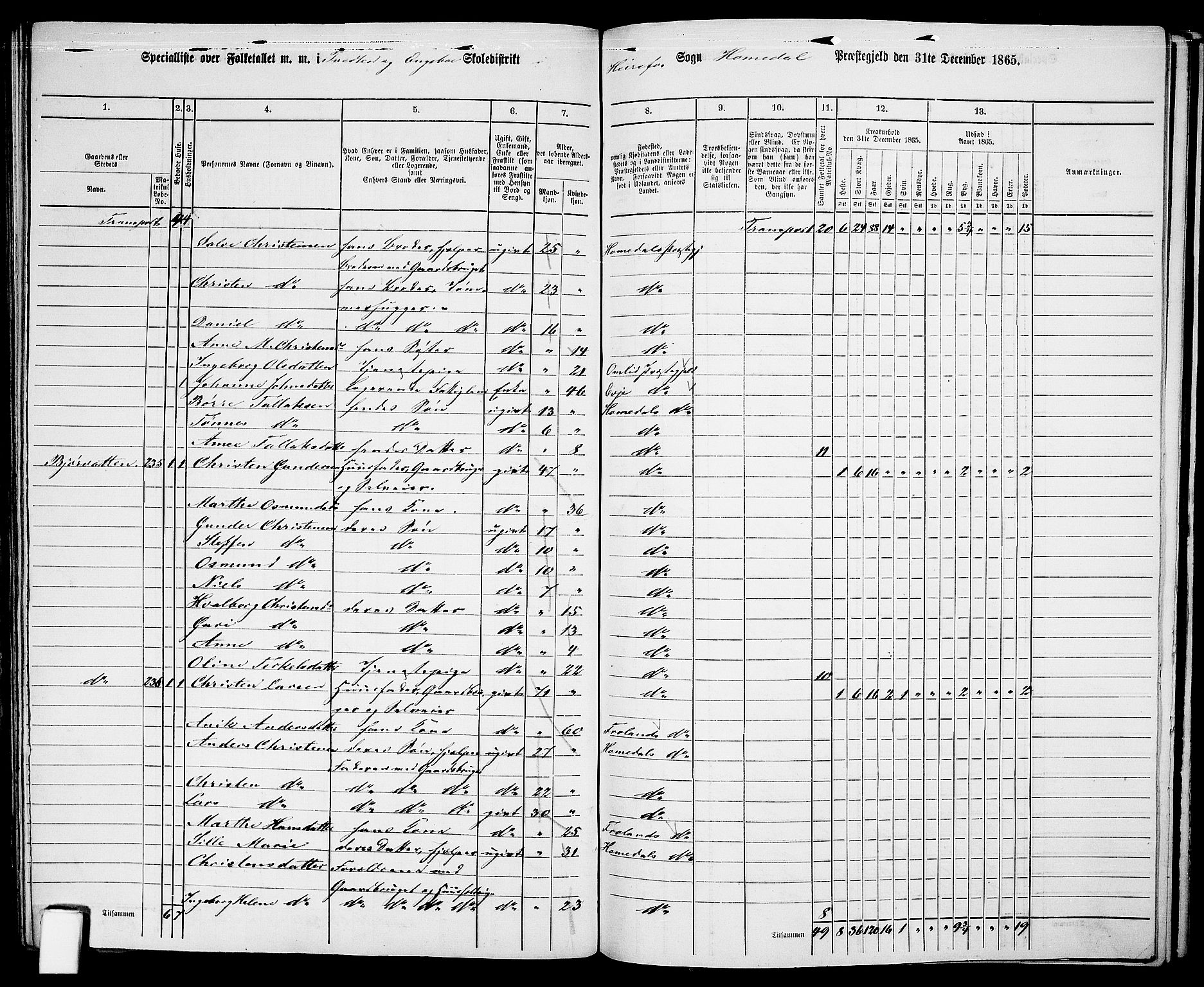 RA, 1865 census for Homedal, 1865, p. 144