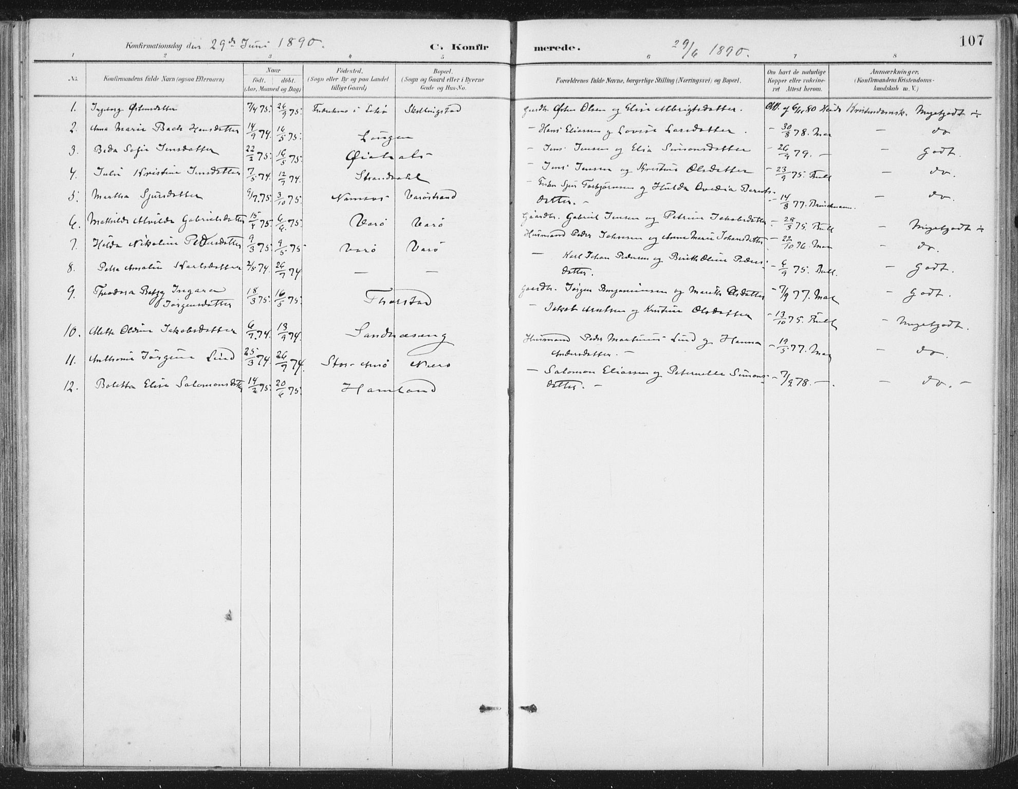 Ministerialprotokoller, klokkerbøker og fødselsregistre - Nord-Trøndelag, AV/SAT-A-1458/784/L0673: Parish register (official) no. 784A08, 1888-1899, p. 107