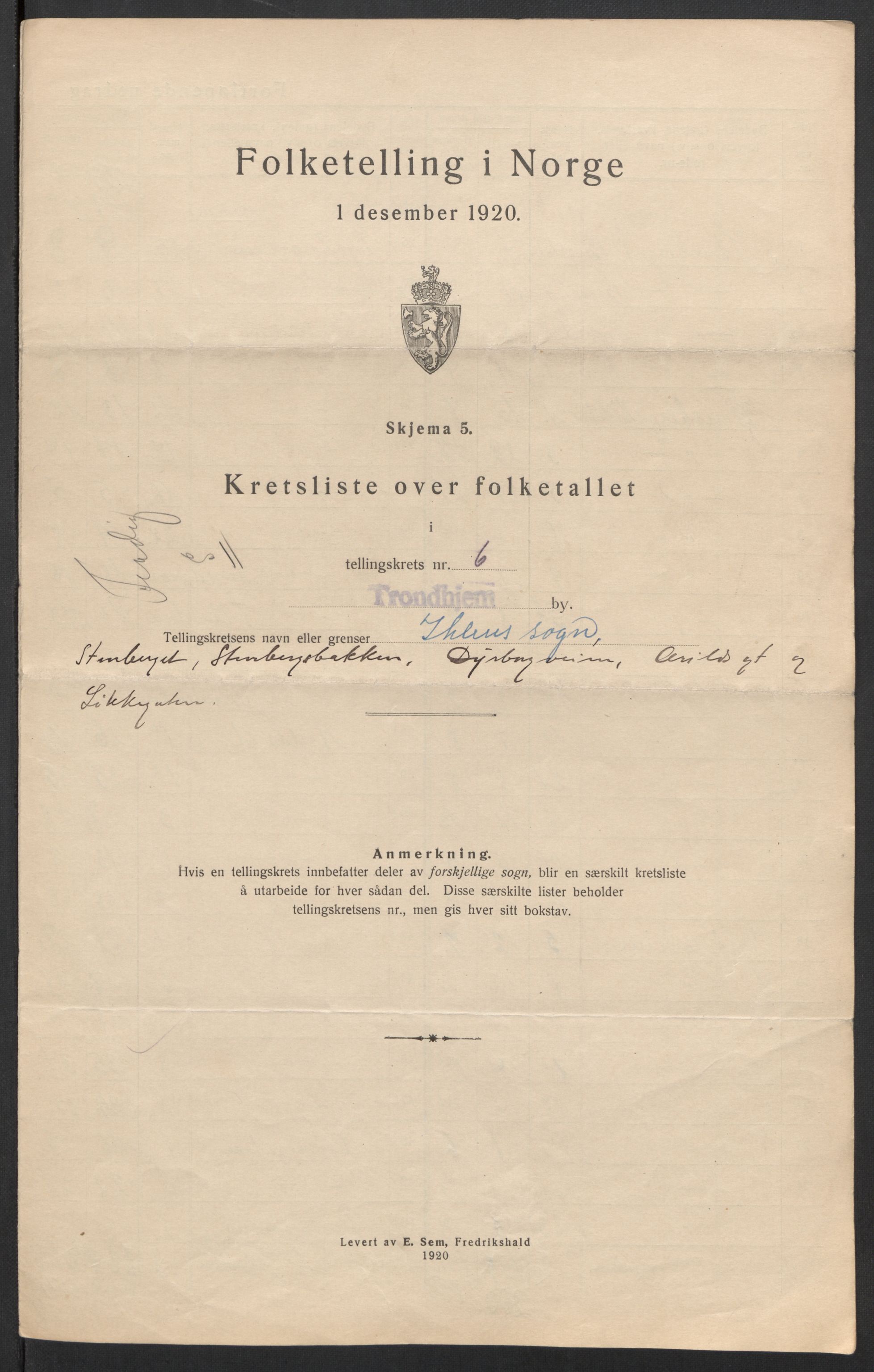 SAT, 1920 census for Trondheim, 1920, p. 29