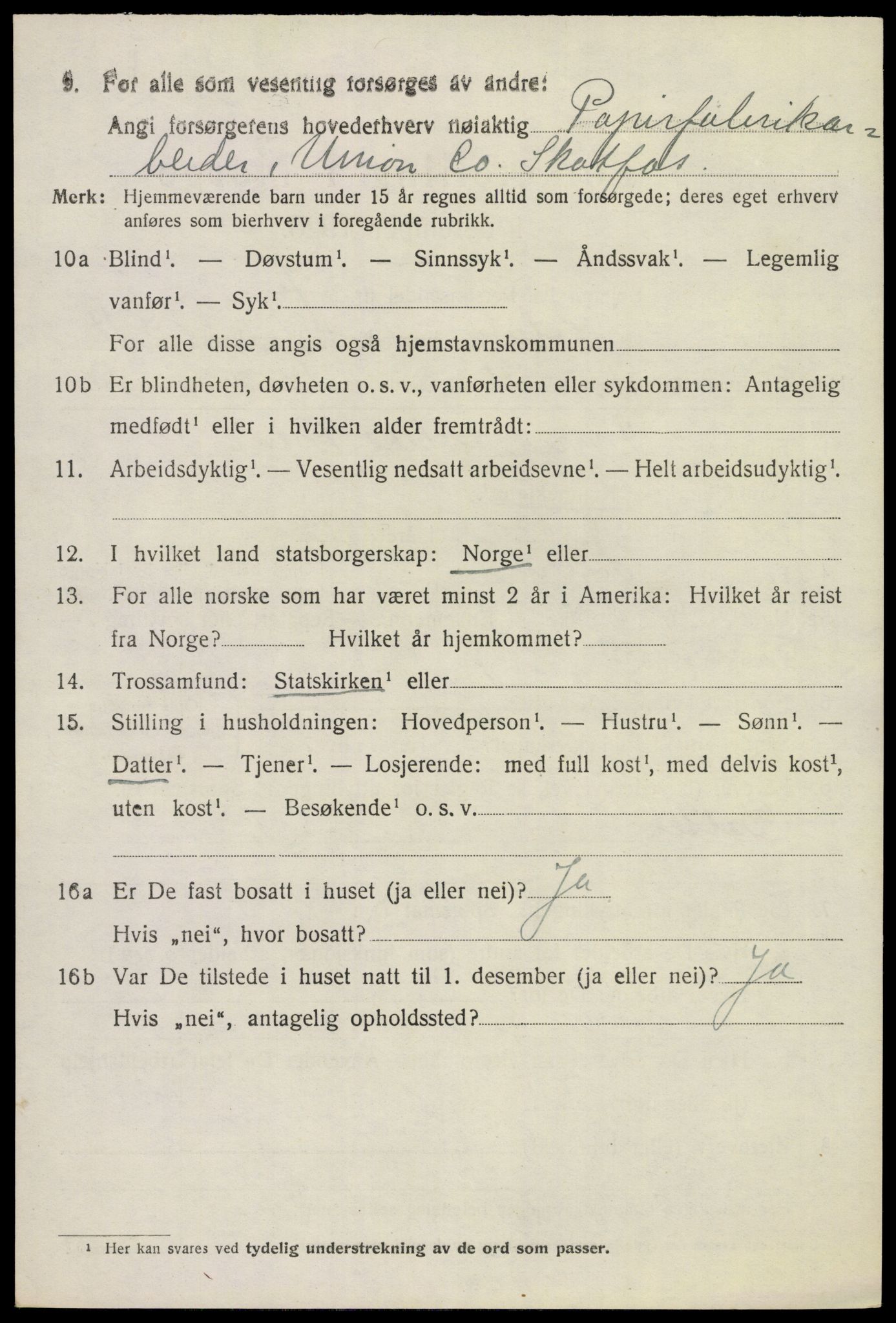 SAKO, 1920 census for Solum, 1920, p. 16165