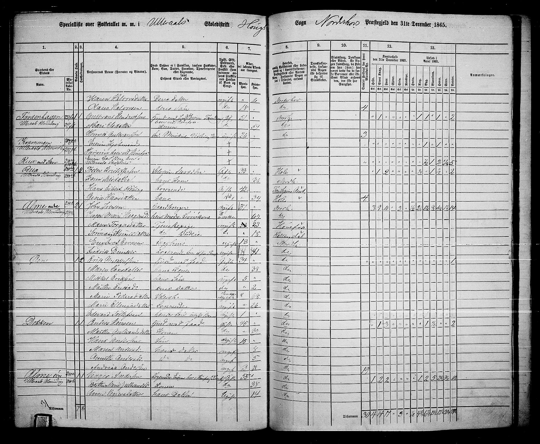 RA, 1865 census for Norderhov/Norderhov, Haug og Lunder, 1865, p. 272