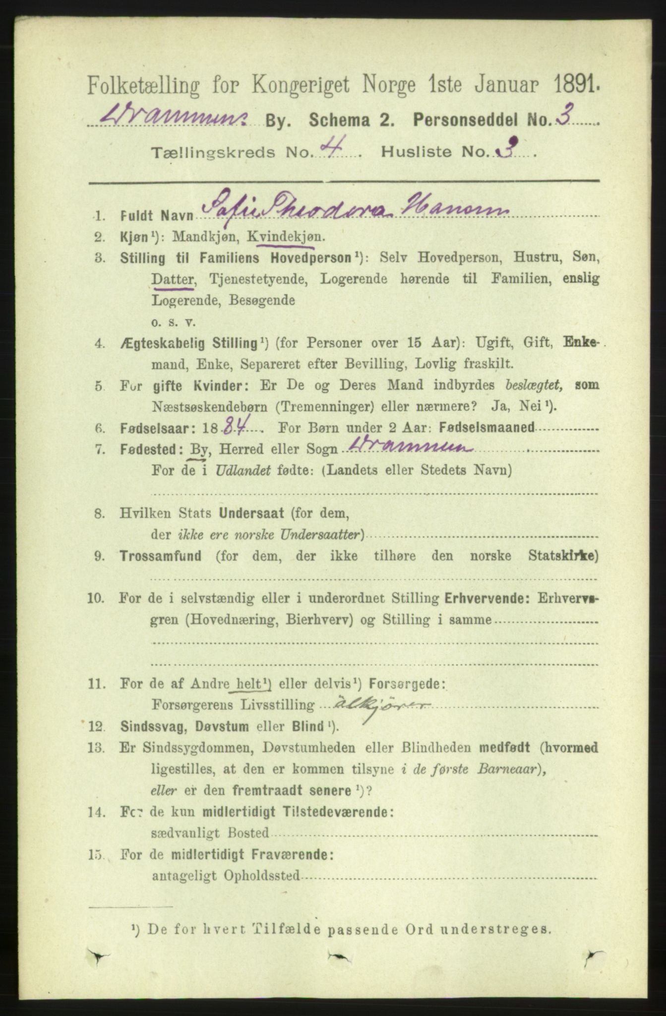 RA, 1891 census for 0602 Drammen, 1891, p. 5317