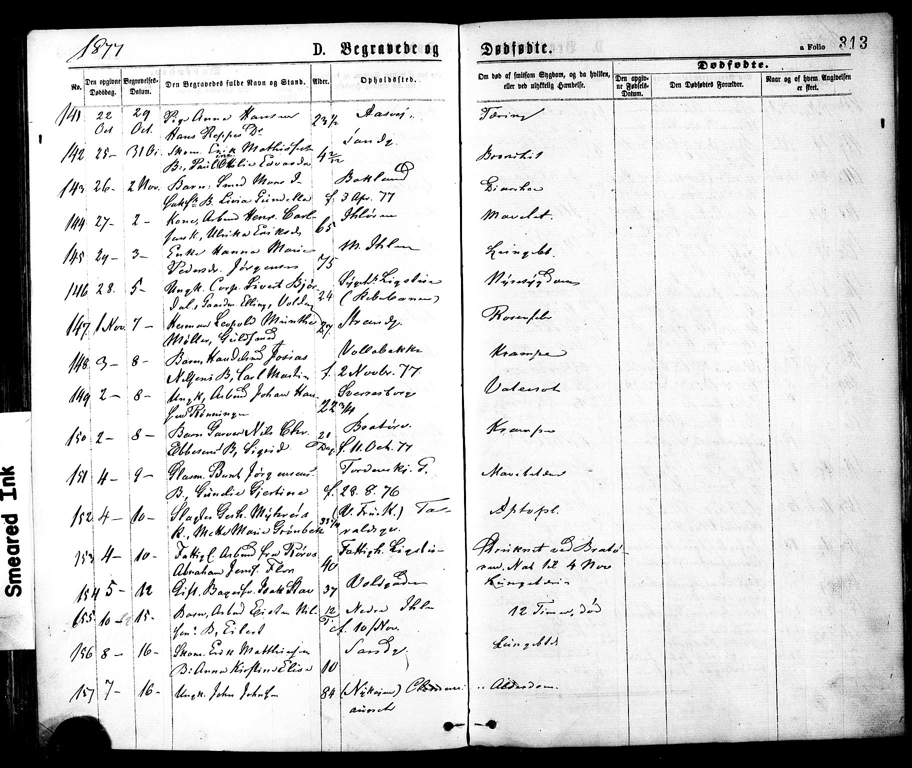 Ministerialprotokoller, klokkerbøker og fødselsregistre - Sør-Trøndelag, AV/SAT-A-1456/602/L0118: Parish register (official) no. 602A16, 1873-1879, p. 313