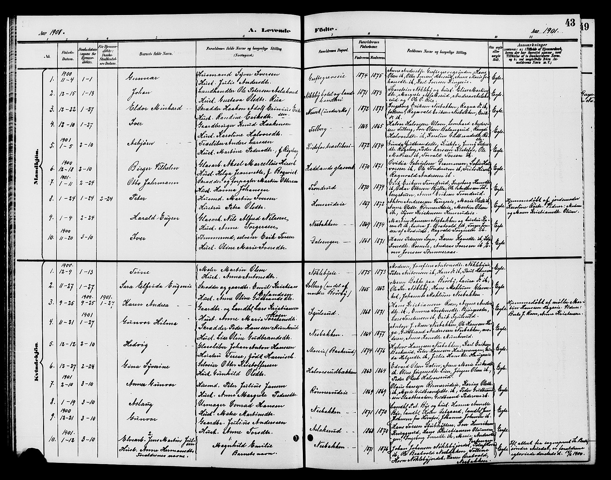 Jevnaker prestekontor, SAH/PREST-116/H/Ha/Hab/L0002: Parish register (copy) no. 2, 1896-1906, p. 43