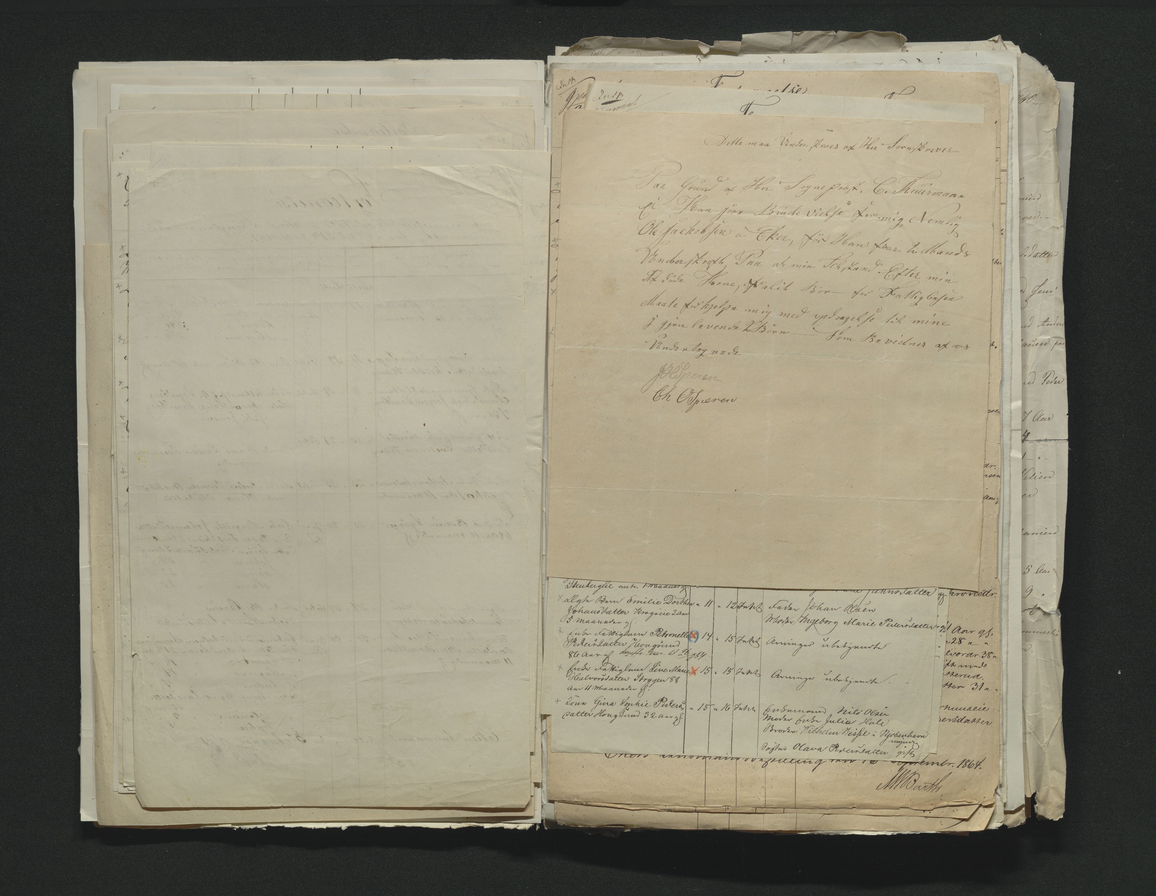 Eiker, Modum og Sigdal sorenskriveri, AV/SAKO-A-123/H/Ha/Hab/L0011: Dødsfallsmeldinger, 1862-1865, p. 376