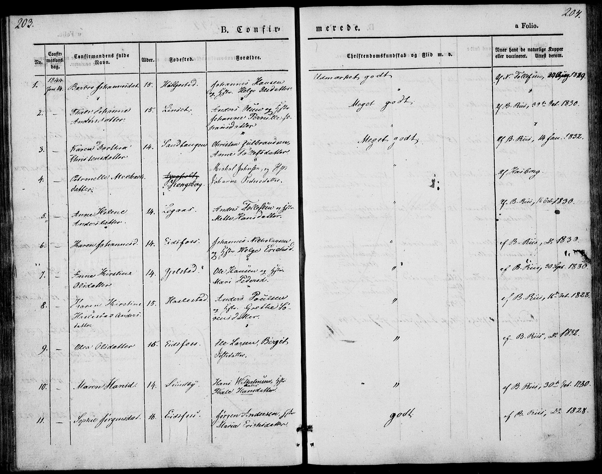 Hof kirkebøker, AV/SAKO-A-64/F/Fa/L0005: Parish register (official) no. I 5, 1844-1851, p. 203-204