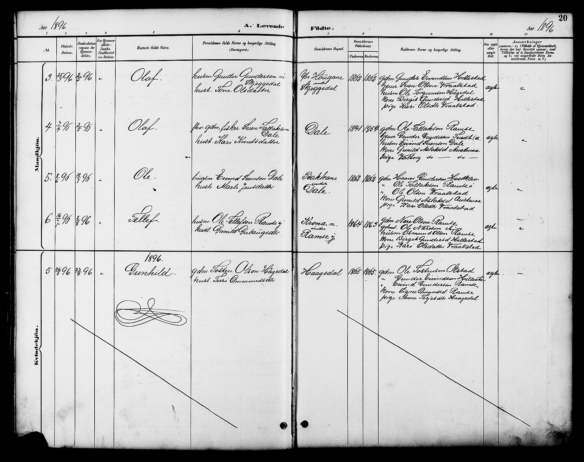 Åmli sokneprestkontor, AV/SAK-1111-0050/F/Fb/Fbb/L0002: Parish register (copy) no. B 2, 1890-1905, p. 20