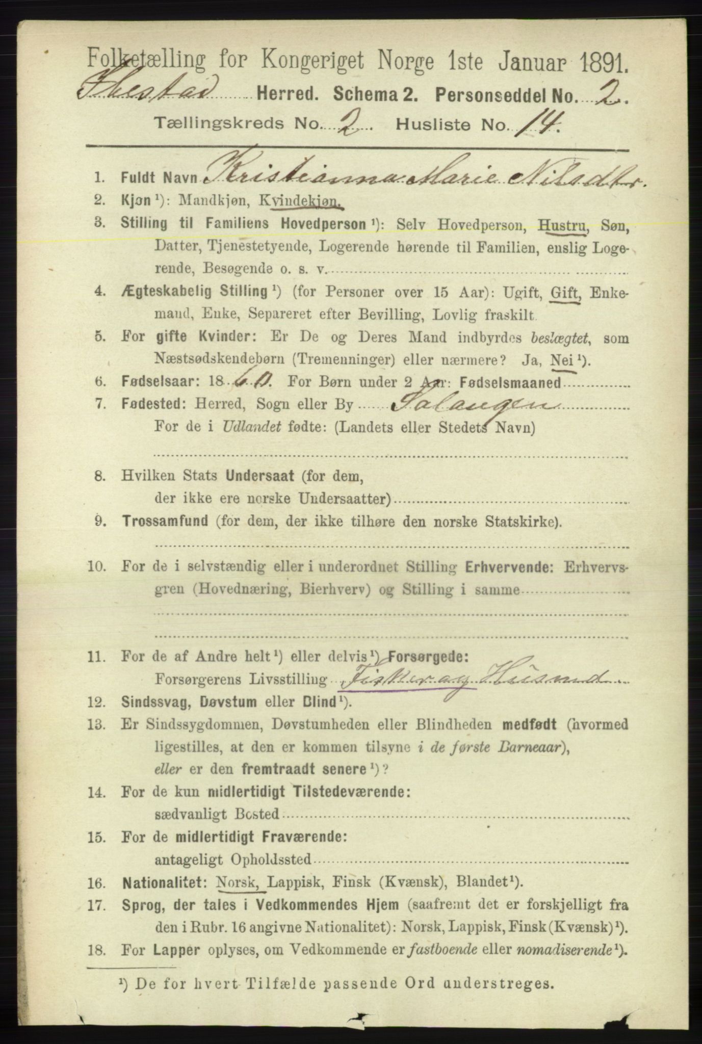 RA, 1891 census for 1917 Ibestad, 1891, p. 894