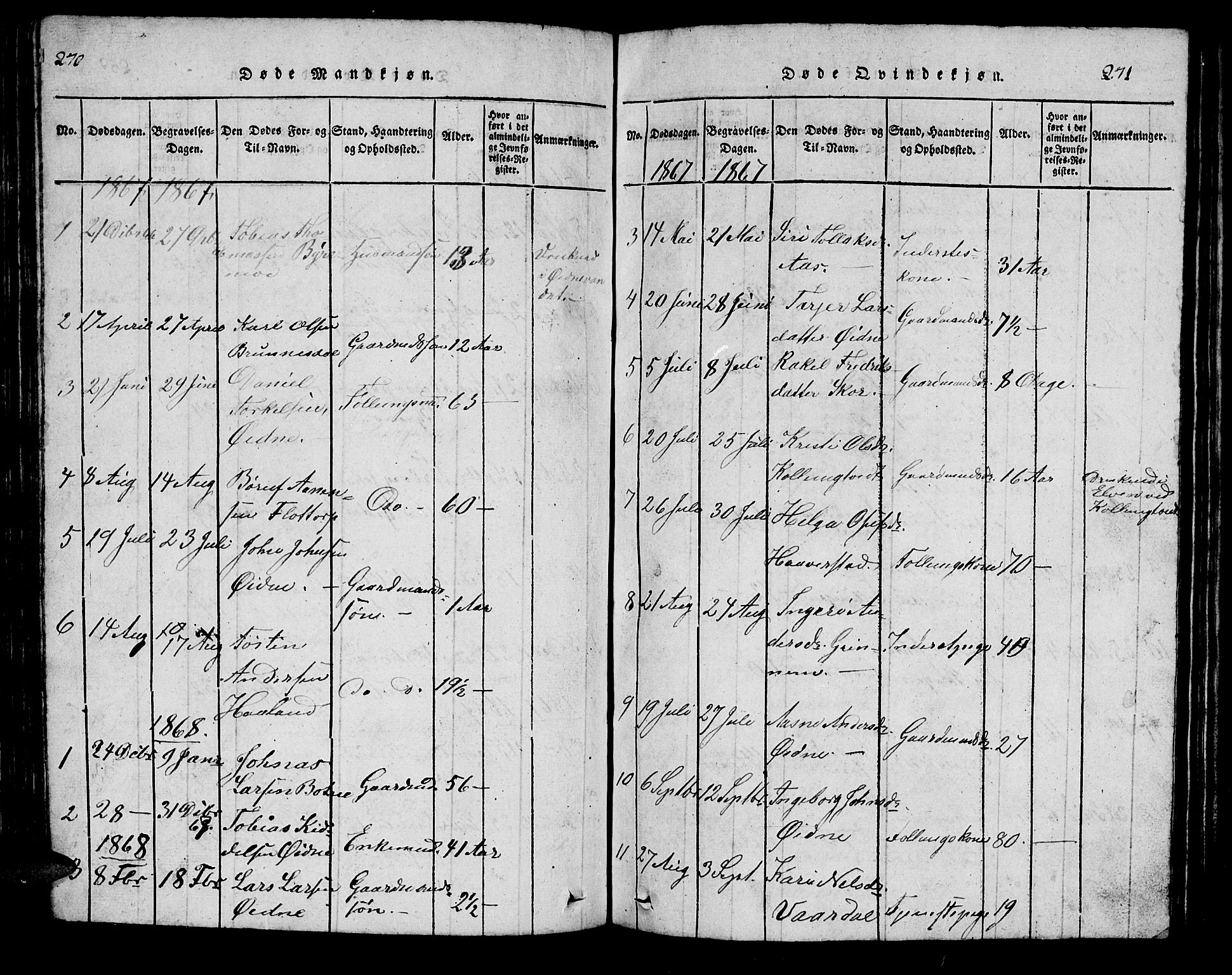 Bjelland sokneprestkontor, SAK/1111-0005/F/Fb/Fbc/L0001: Parish register (copy) no. B 1, 1815-1870, p. 270-271