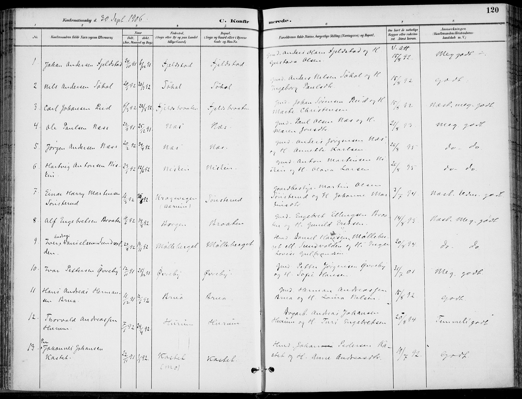 Hole kirkebøker, AV/SAKO-A-228/F/Fa/L0009: Parish register (official) no. I 9, 1892-1907, p. 120