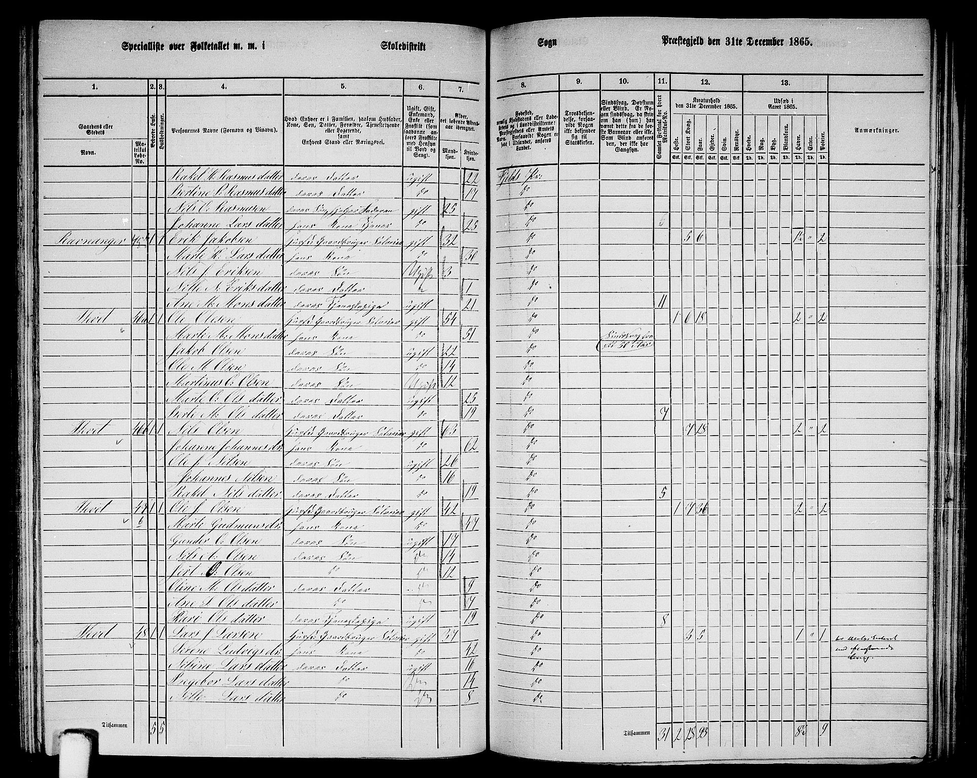 RA, 1865 census for Fjell, 1865, p. 158