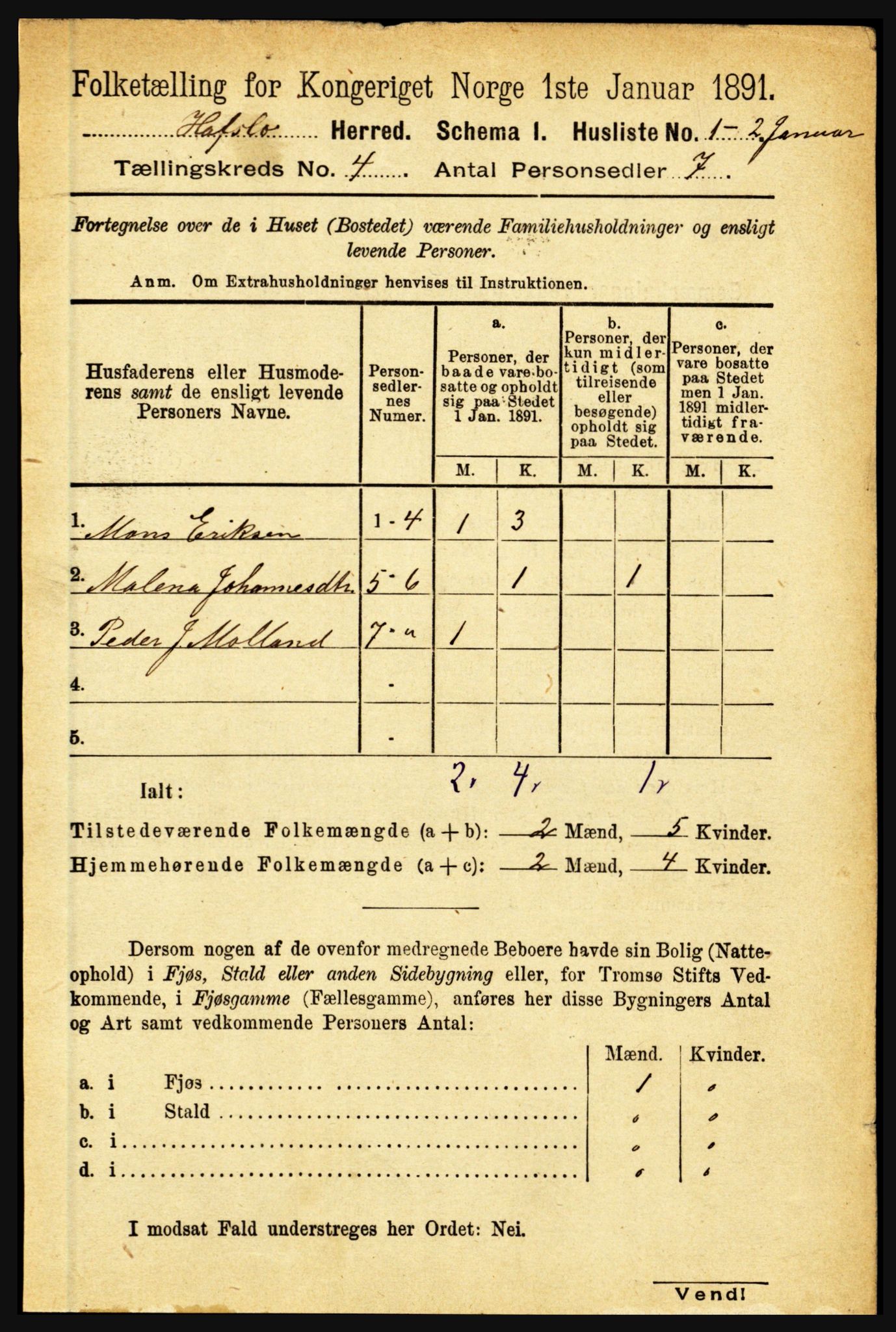 RA, 1891 census for 1425 Hafslo, 1891, p. 1516