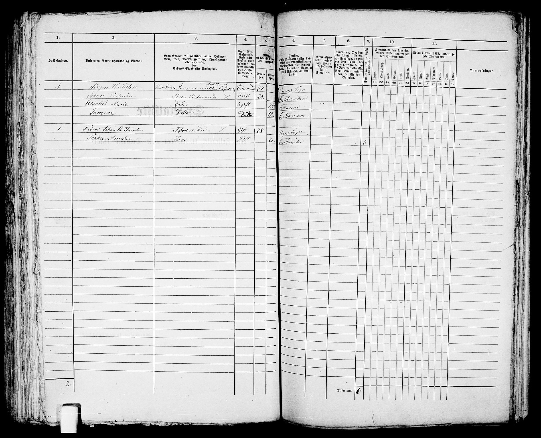 RA, 1865 census for Kristiansand, 1865, p. 295