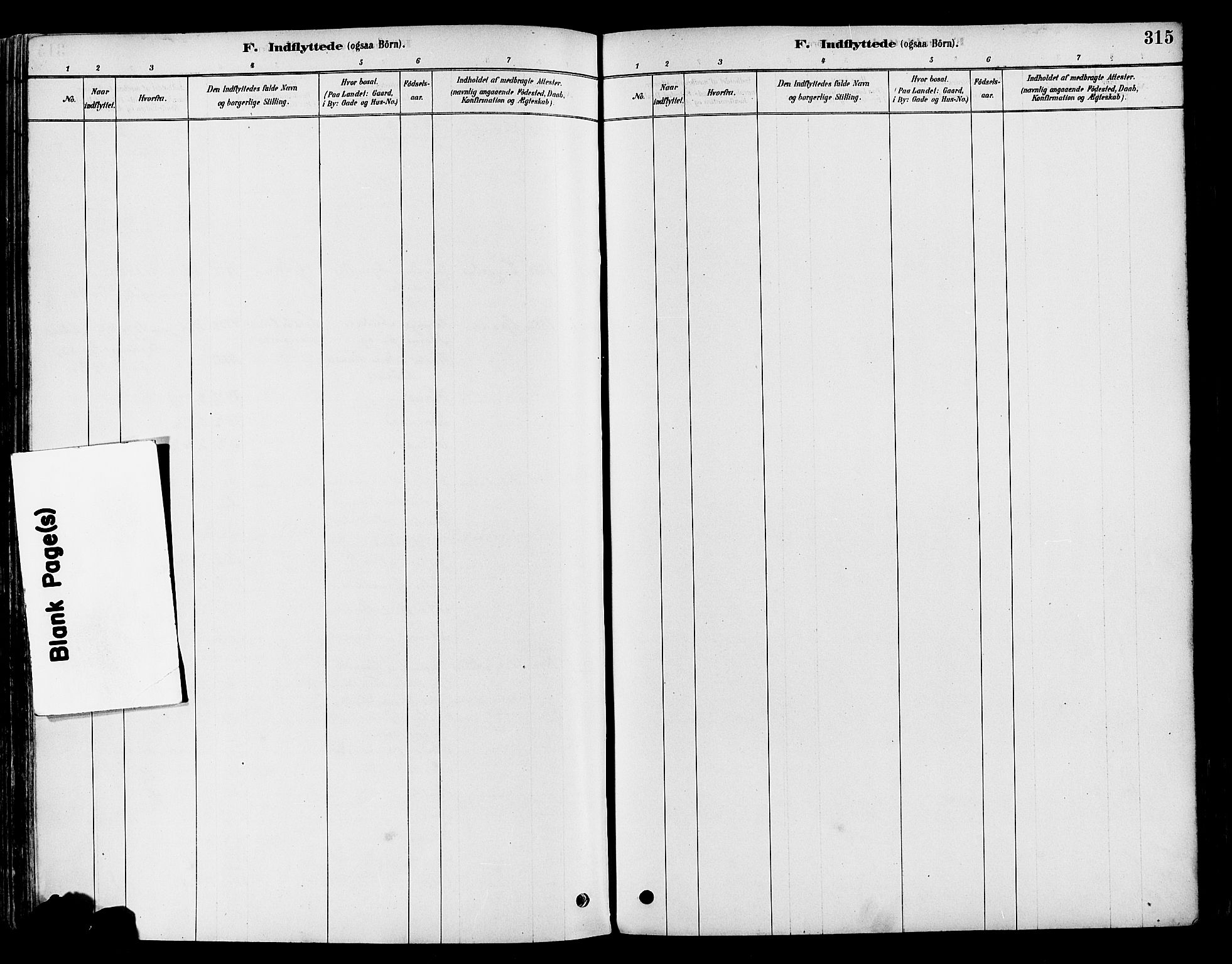 Vestre Toten prestekontor, SAH/PREST-108/H/Ha/Haa/L0009: Parish register (official) no. 9, 1878-1894, p. 315