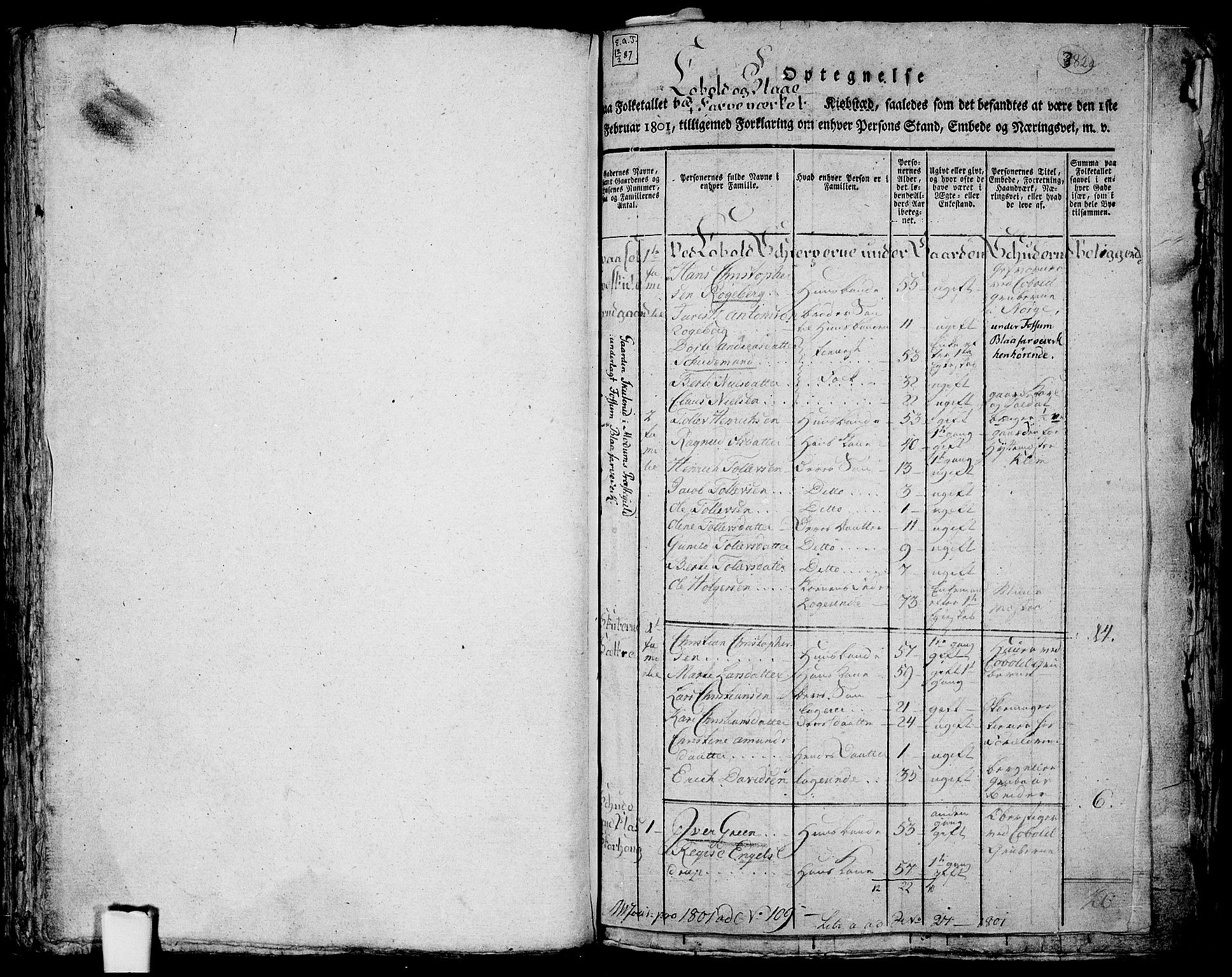 RA, 1801 census for 0623P Modum, 1801, p. 381b-382a