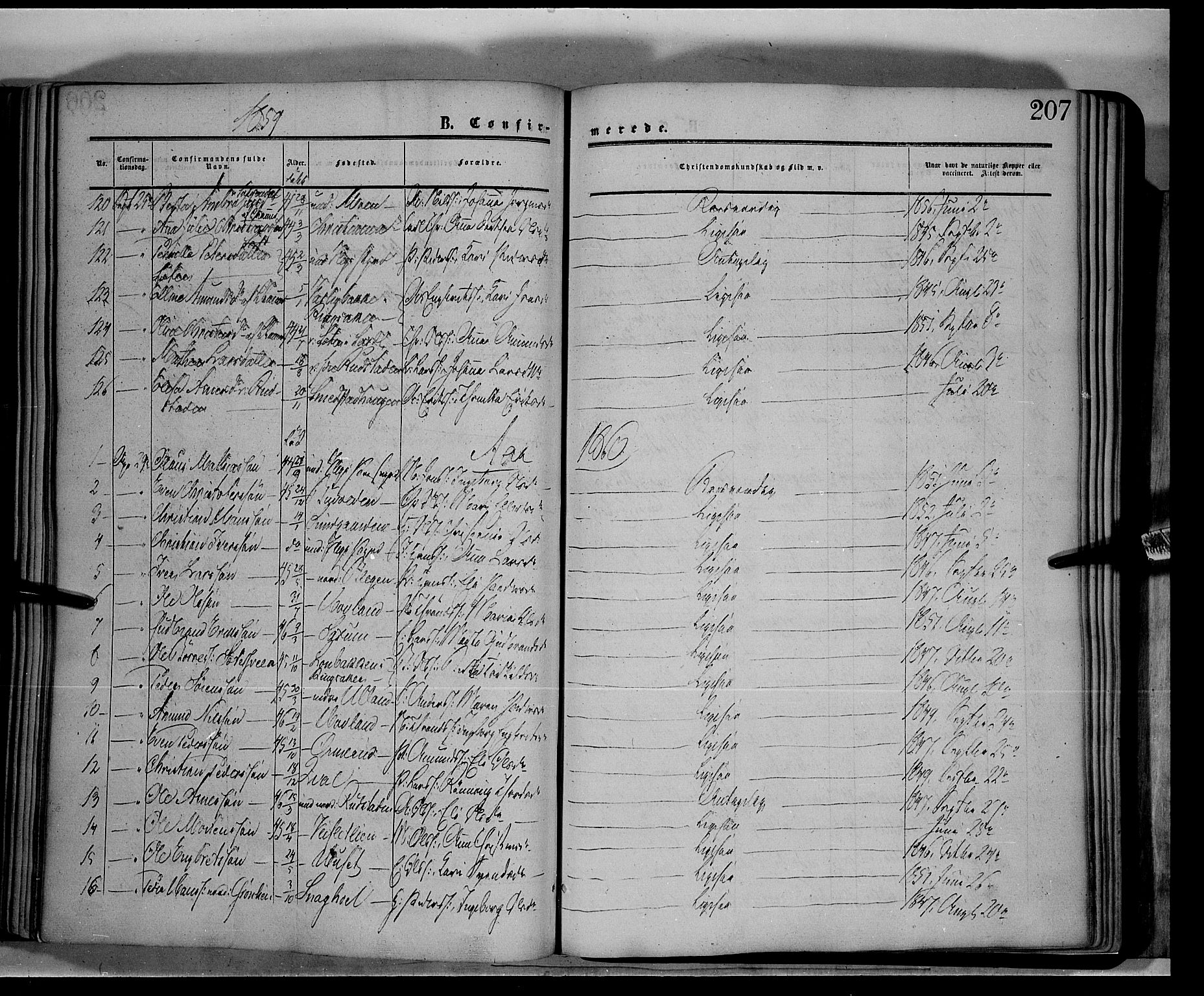 Fåberg prestekontor, AV/SAH-PREST-086/H/Ha/Haa/L0006: Parish register (official) no. 6A, 1855-1867, p. 207