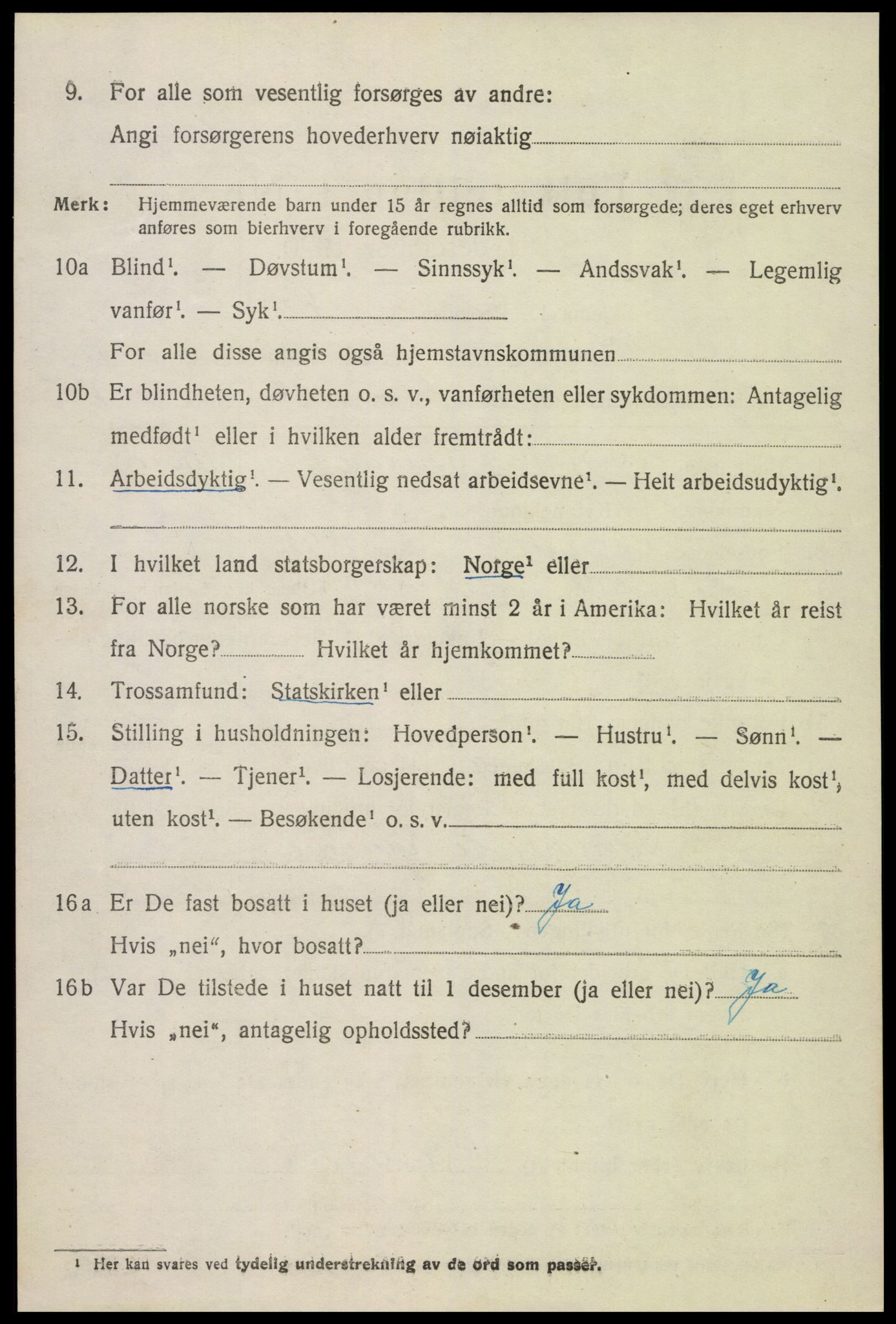 SAK, 1920 census for Hornnes, 1920, p. 2904