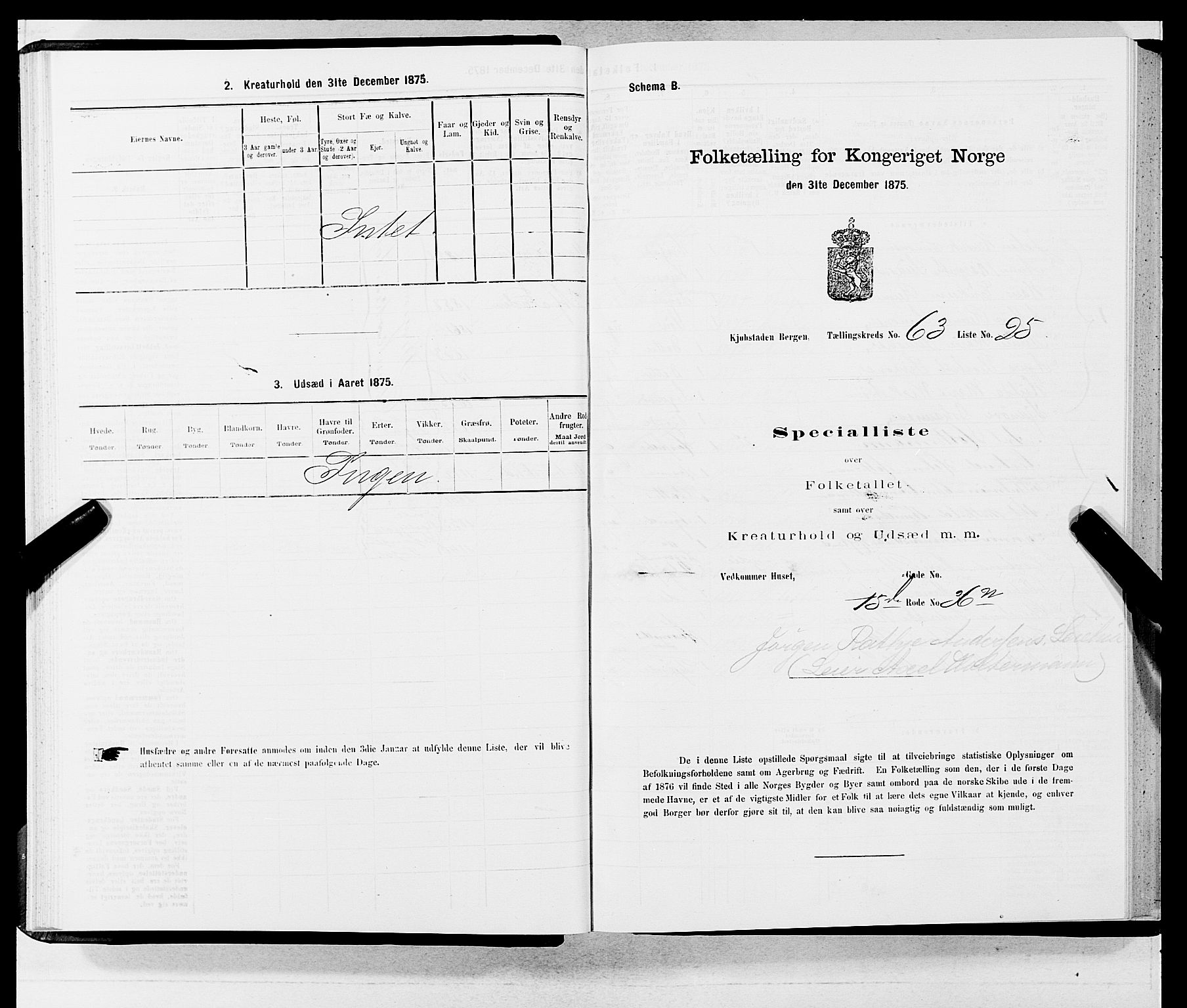 SAB, 1875 census for 1301 Bergen, 1875, p. 3386