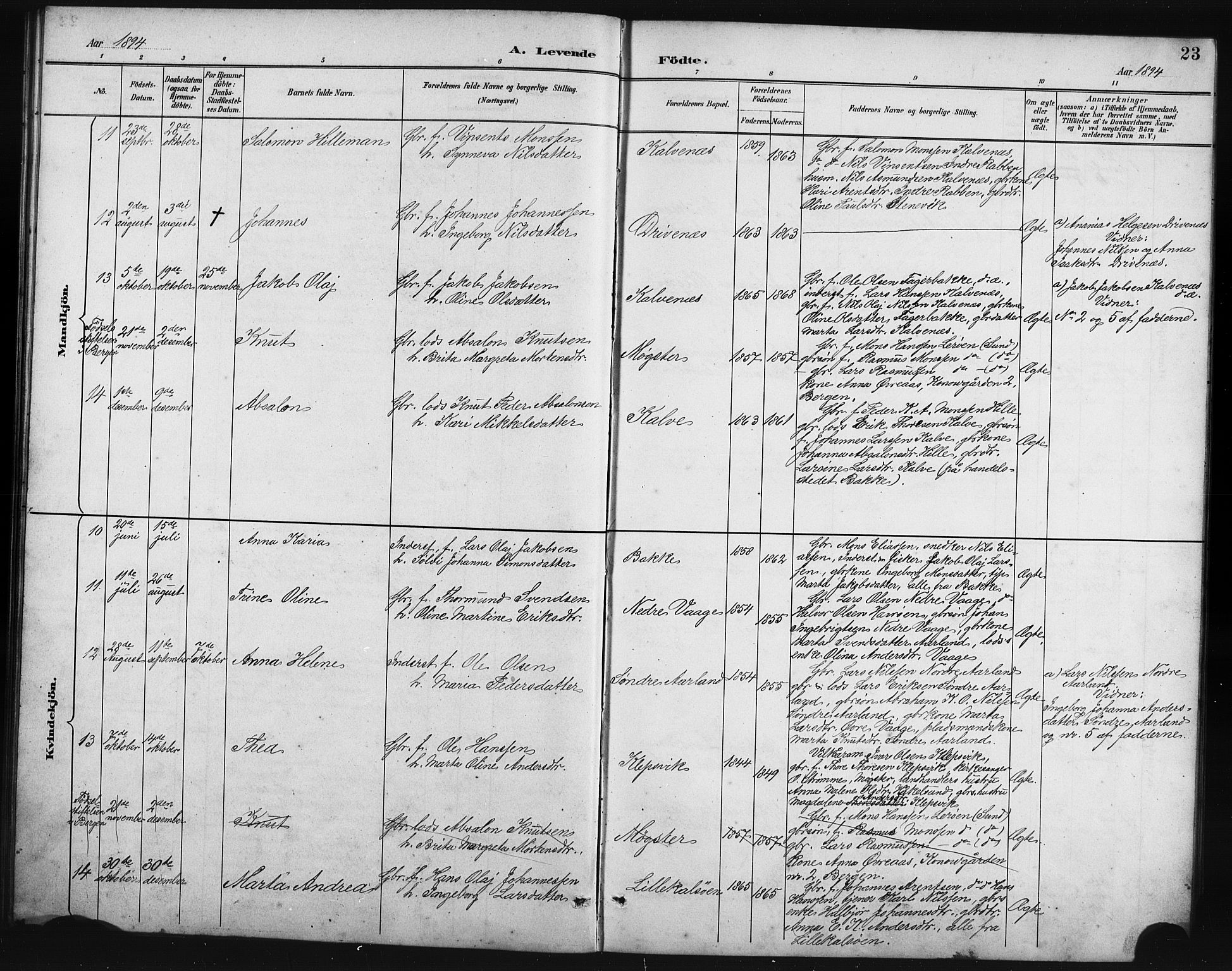 Austevoll Sokneprestembete, SAB/A-74201/H/Hab: Parish register (copy) no. B 4, 1889-1901, p. 23