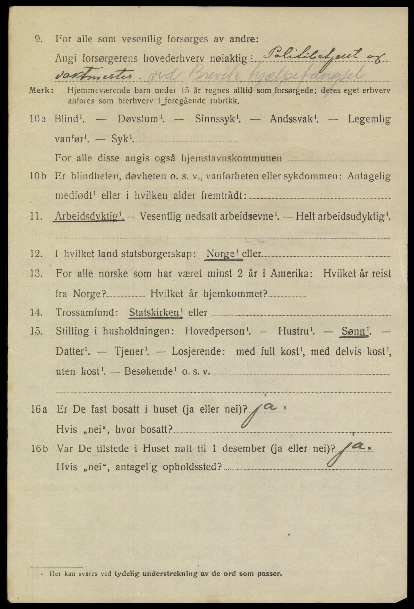 SAKO, 1920 census for Brevik, 1920, p. 2145