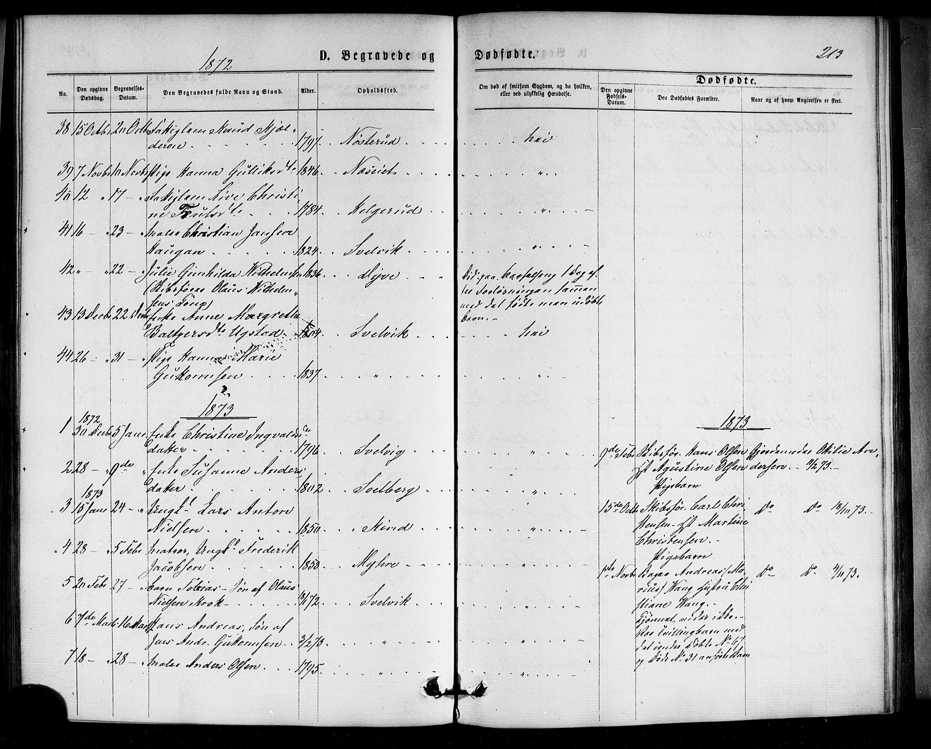 Strømm kirkebøker, AV/SAKO-A-322/F/Fa/L0002: Parish register (official) no. I 2, 1870-1877, p. 213