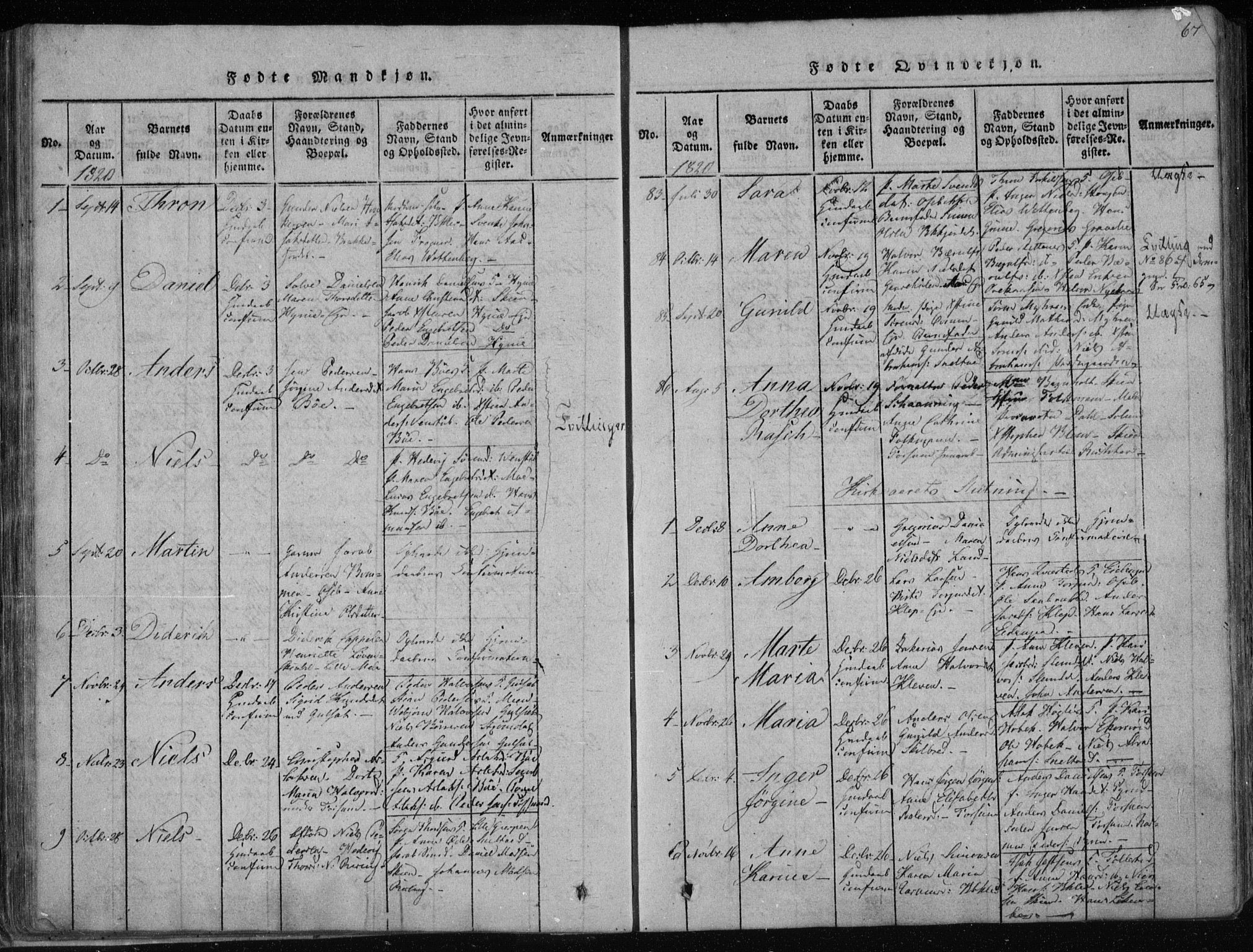 Gjerpen kirkebøker, SAKO/A-265/F/Fa/L0004: Parish register (official) no. I 4, 1814-1823, p. 67