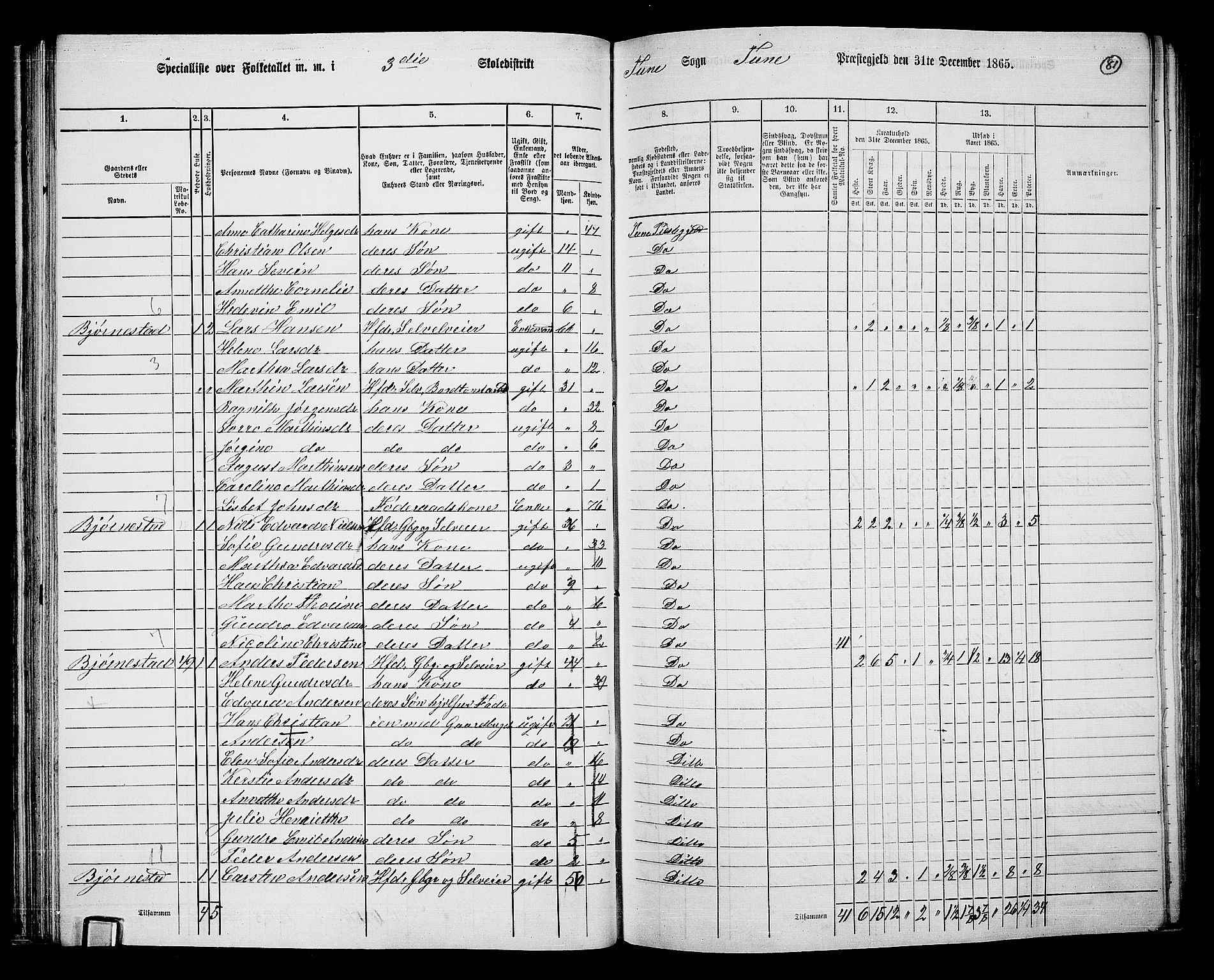 RA, 1865 census for Tune, 1865, p. 74