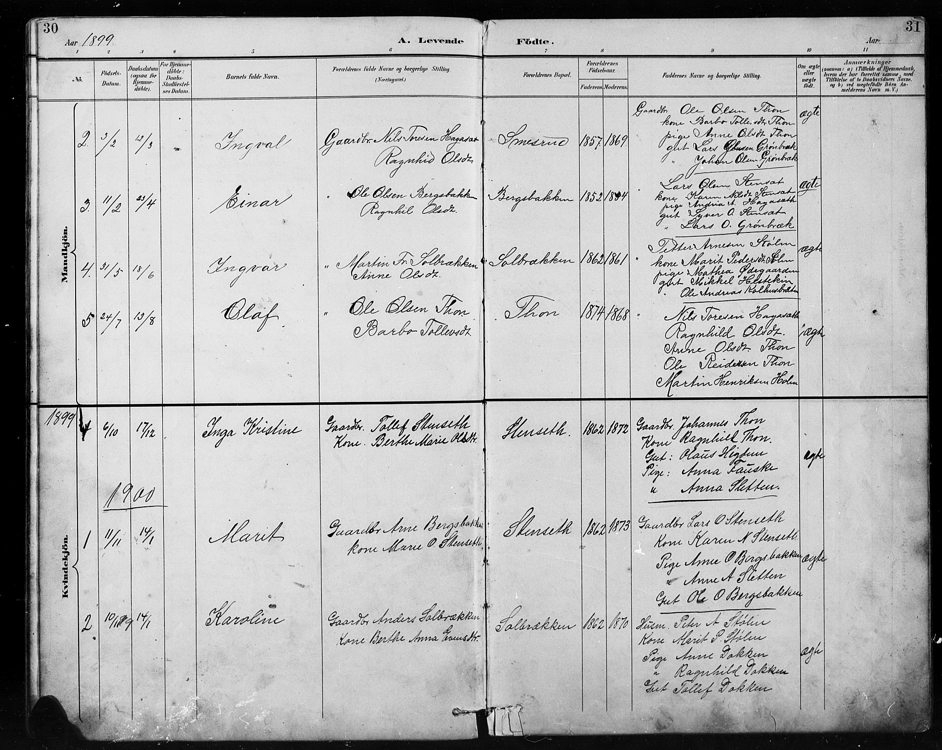 Etnedal prestekontor, SAH/PREST-130/H/Ha/Hab/Habb/L0001: Parish register (copy) no. II 1, 1894-1911, p. 30-31