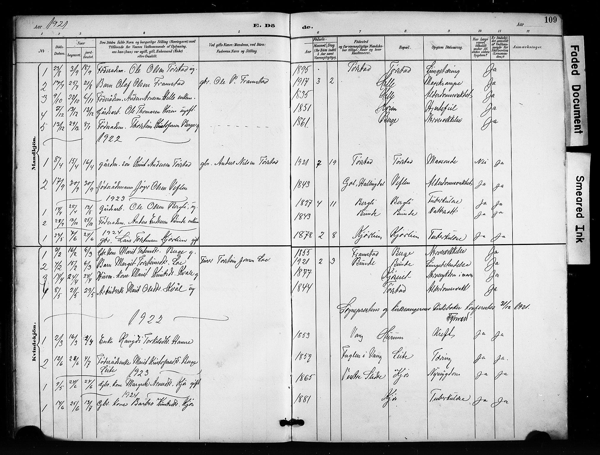 Vang prestekontor, Valdres, SAH/PREST-140/H/Hb/L0007: Parish register (copy) no. 7, 1893-1924, p. 109